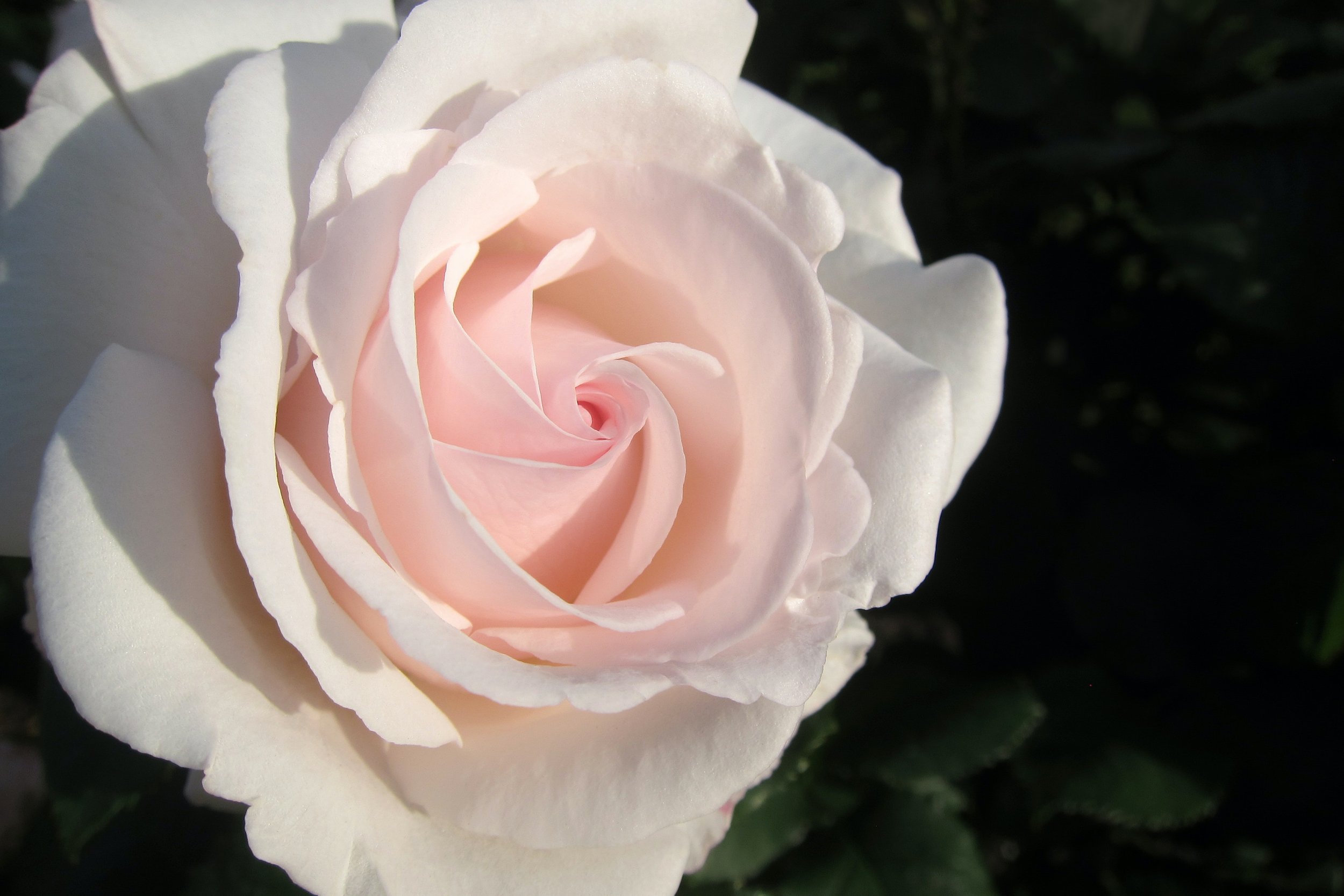 you are worthy simply because you exist