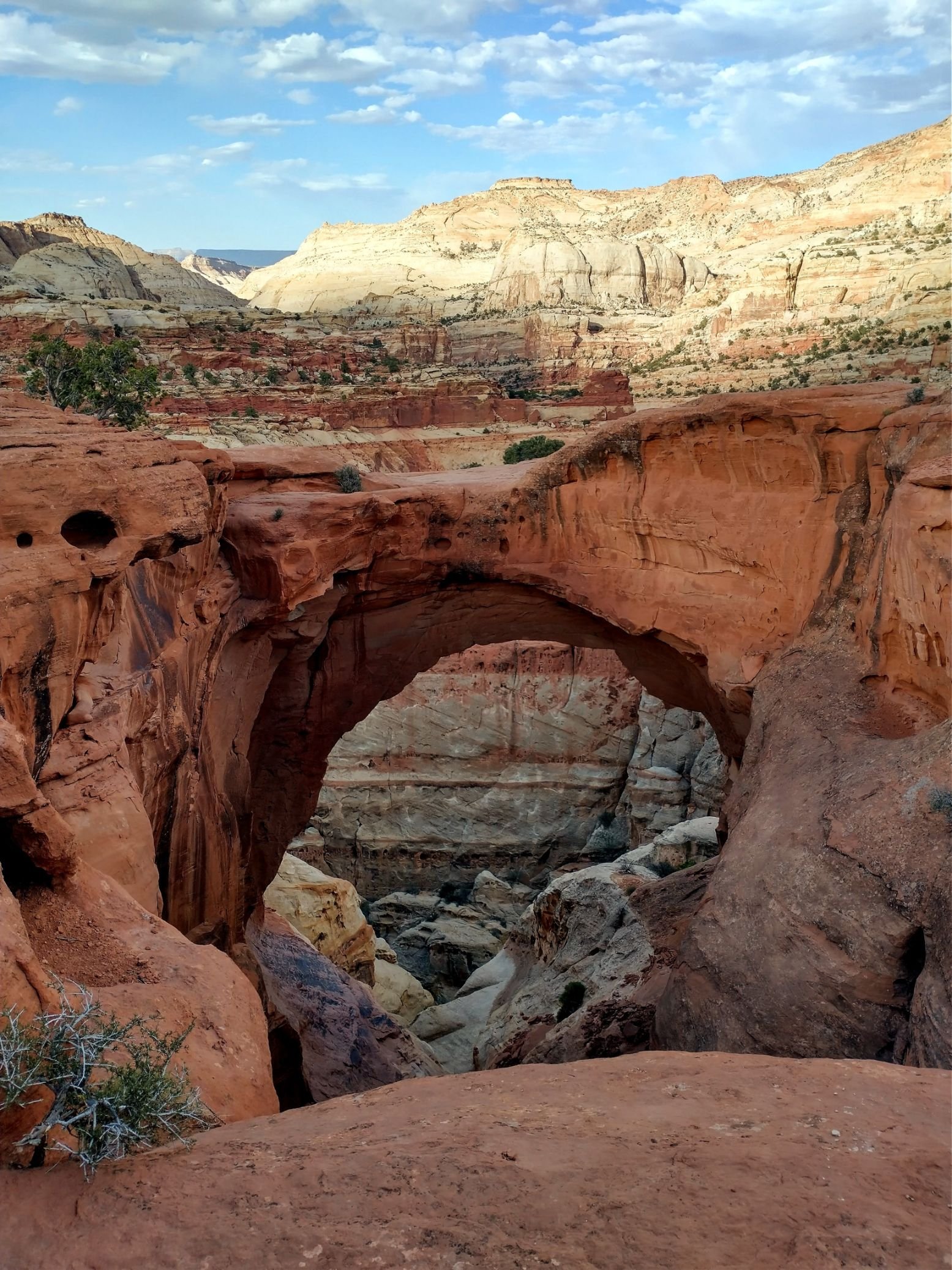 Hiking Capitol Reef: Top Trails & Hiking Tips — Barefoot Cas