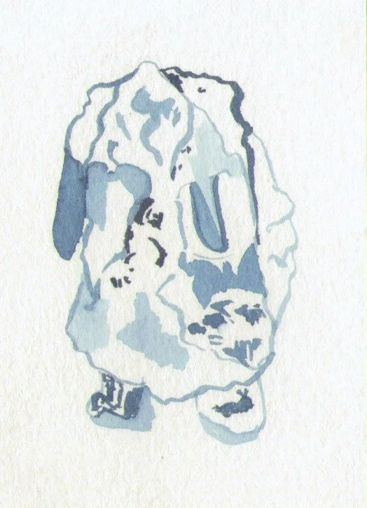 n.jpg