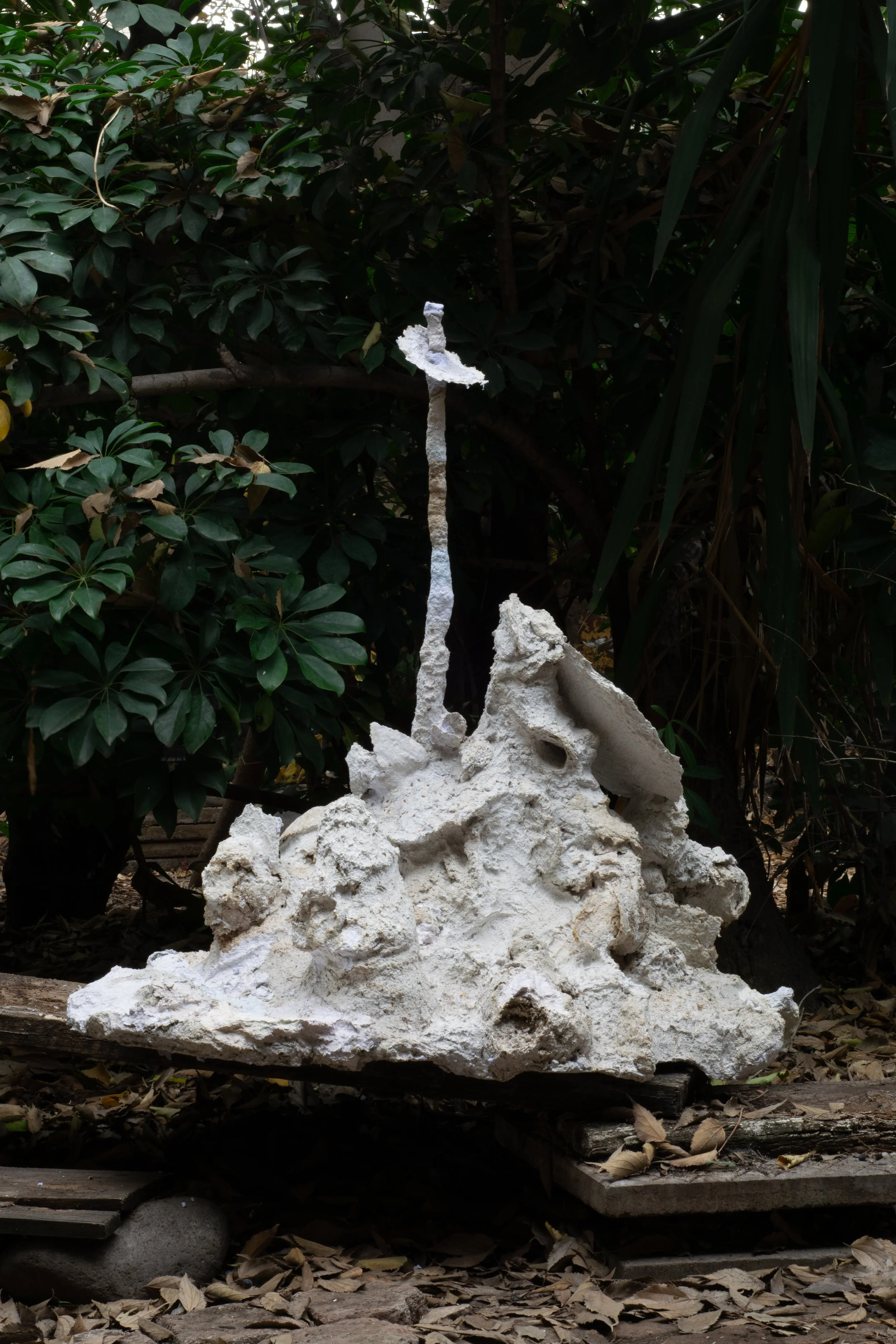 DSC_0864.jpg