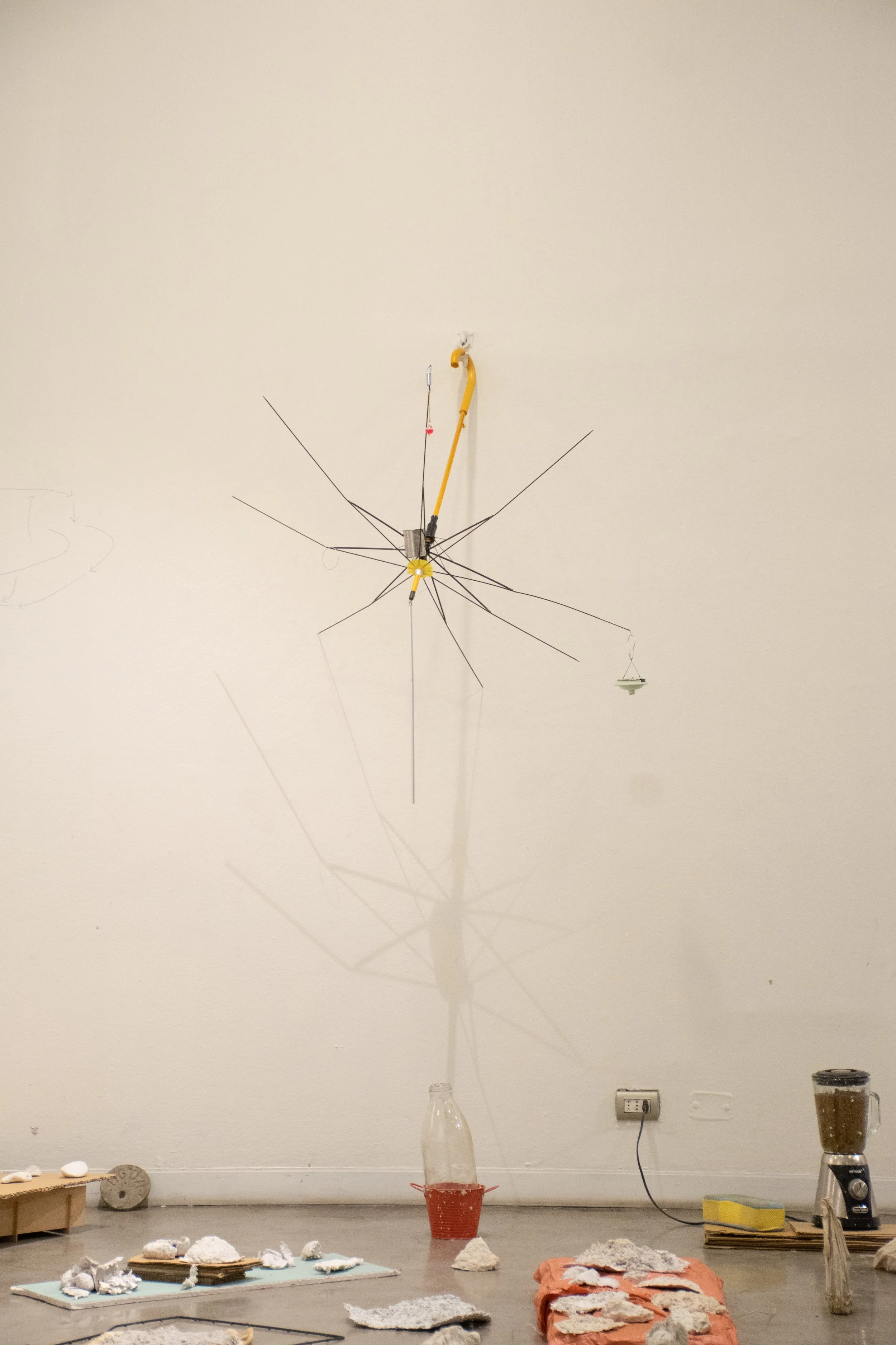 DSC_0226.jpg