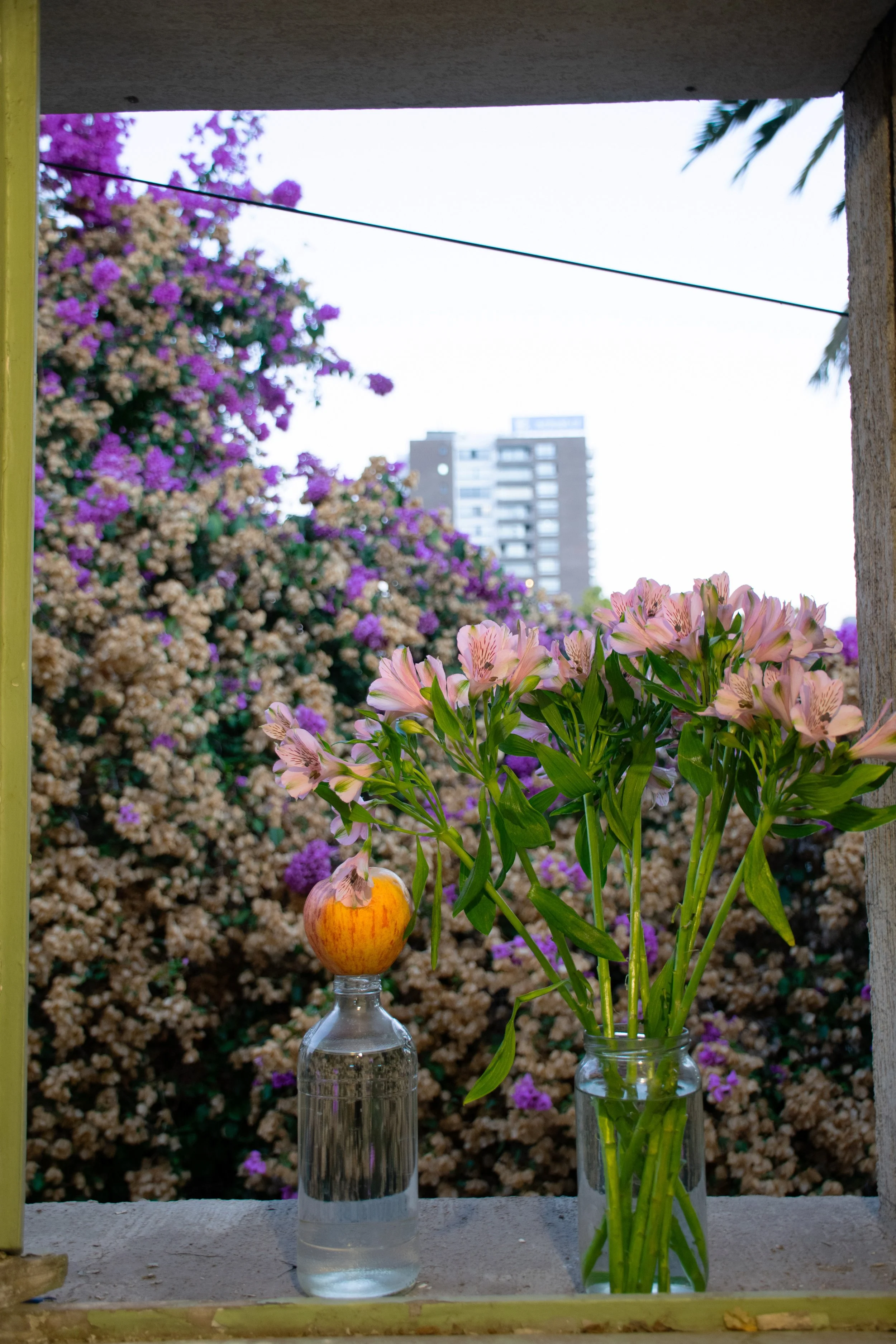 DSC_0281.jpg