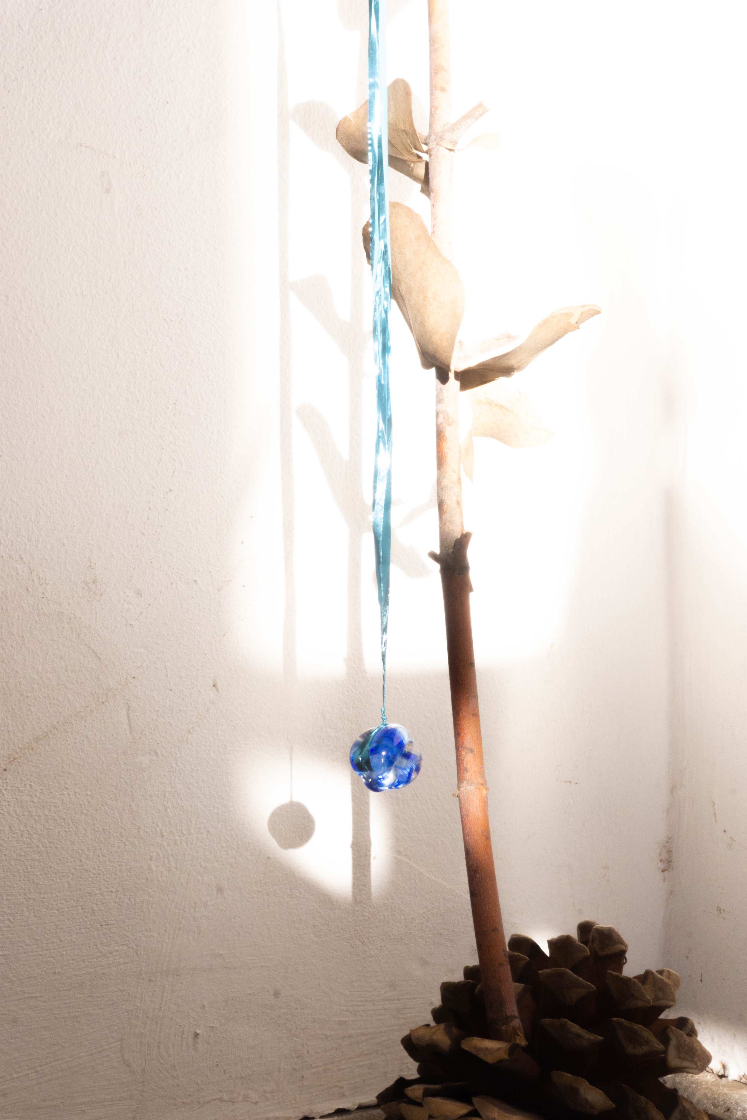 DSC04282.jpg
