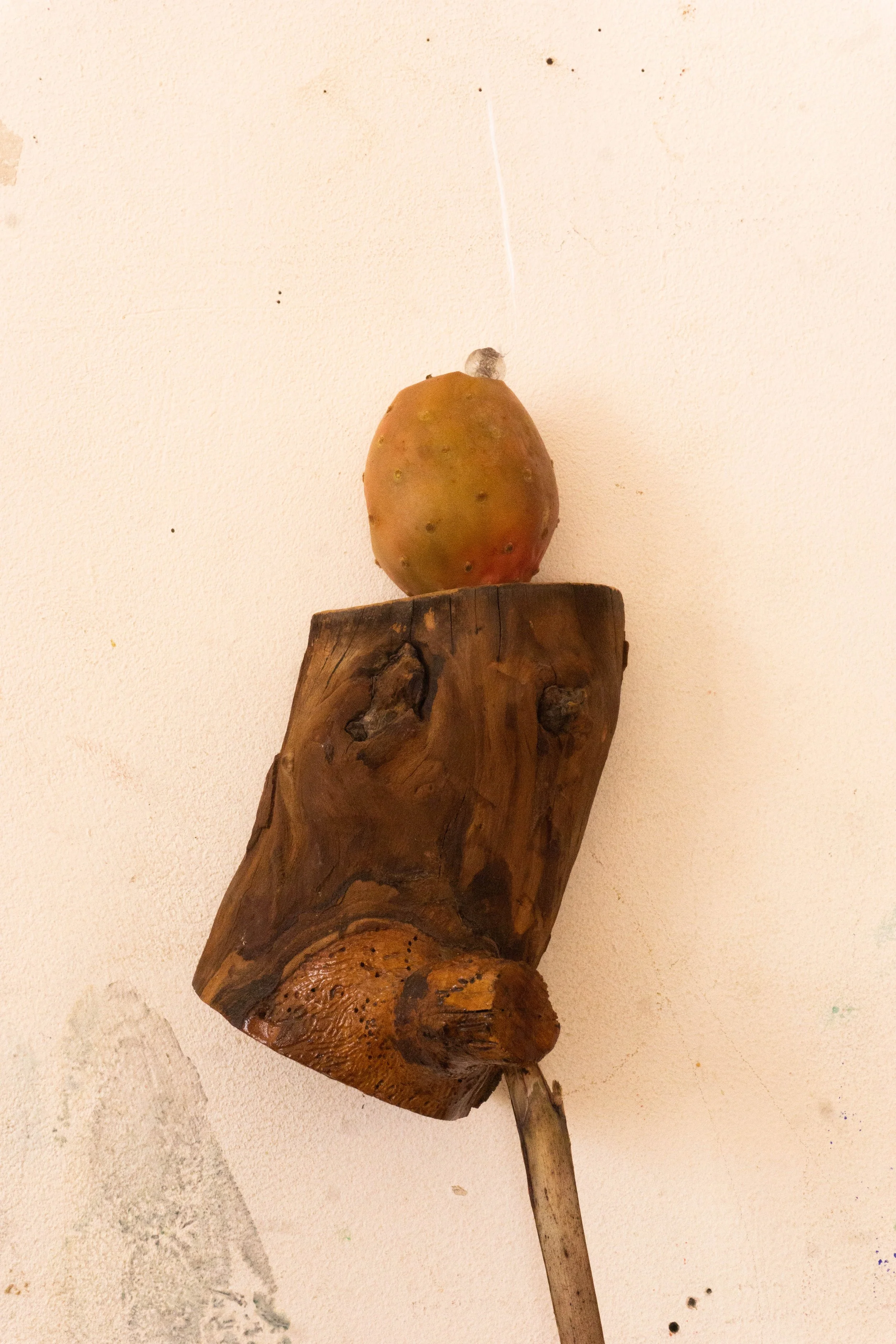 DSC04204.jpg