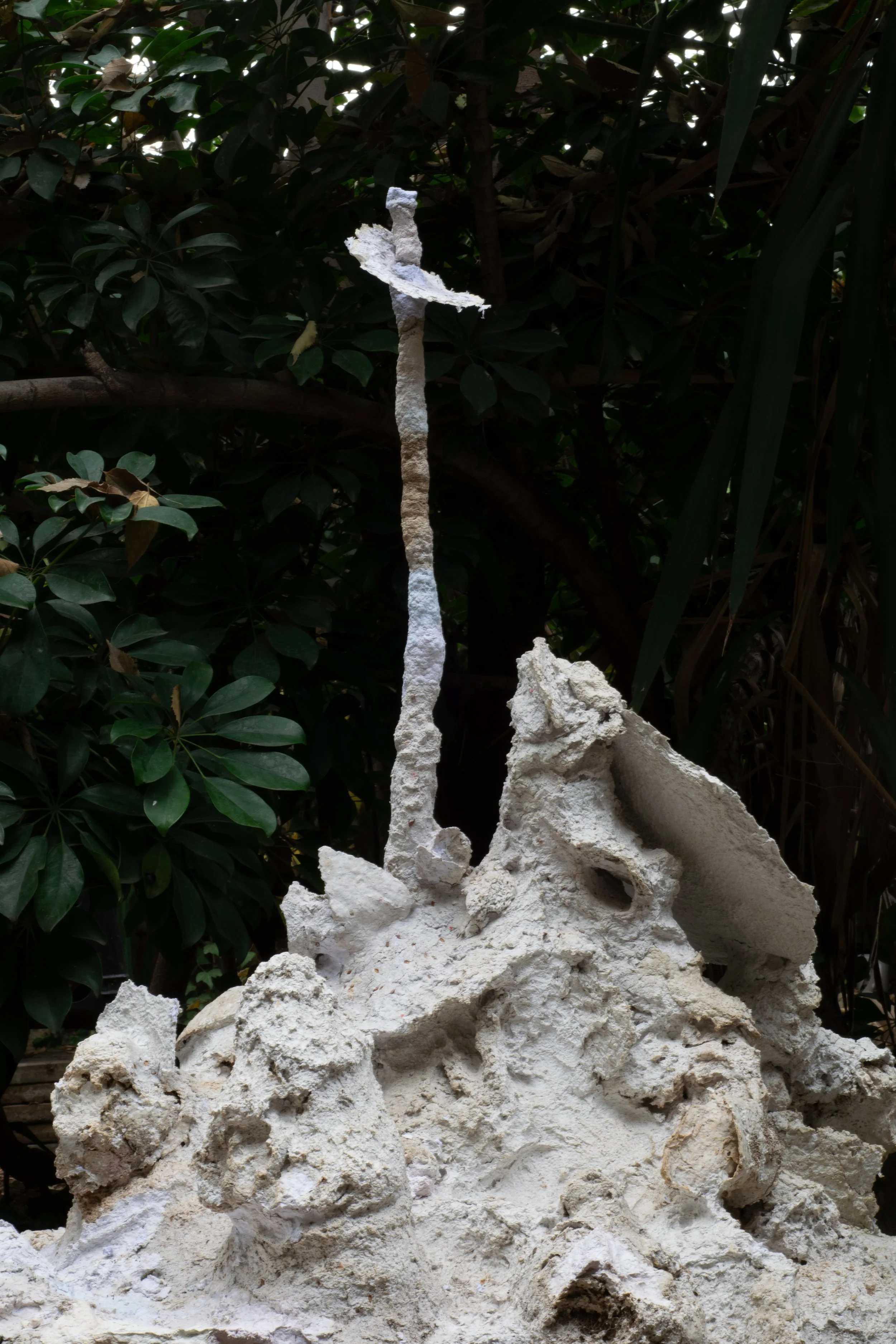 DSC_0861.jpg