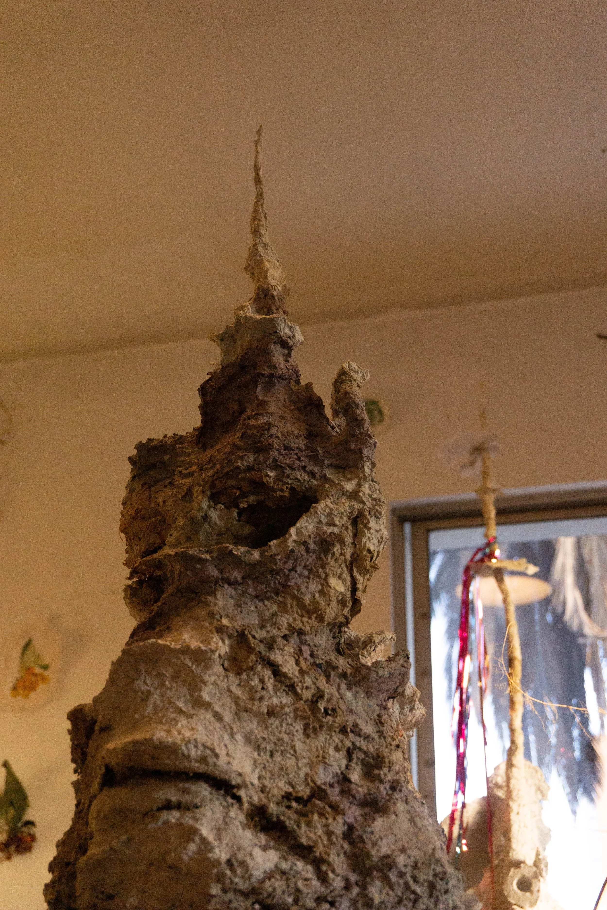 DSC04353.jpg