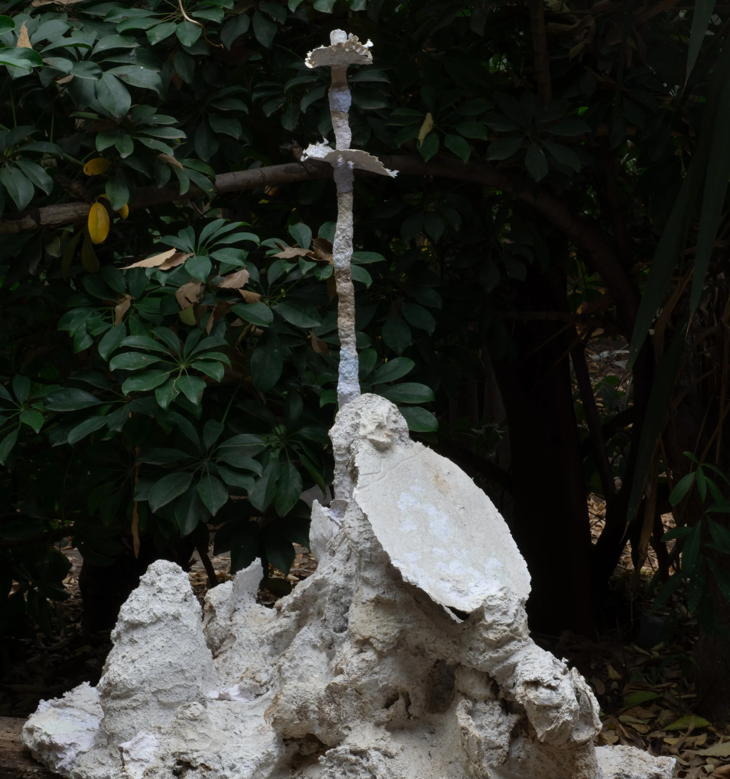 DSC_0833-2.jpg
