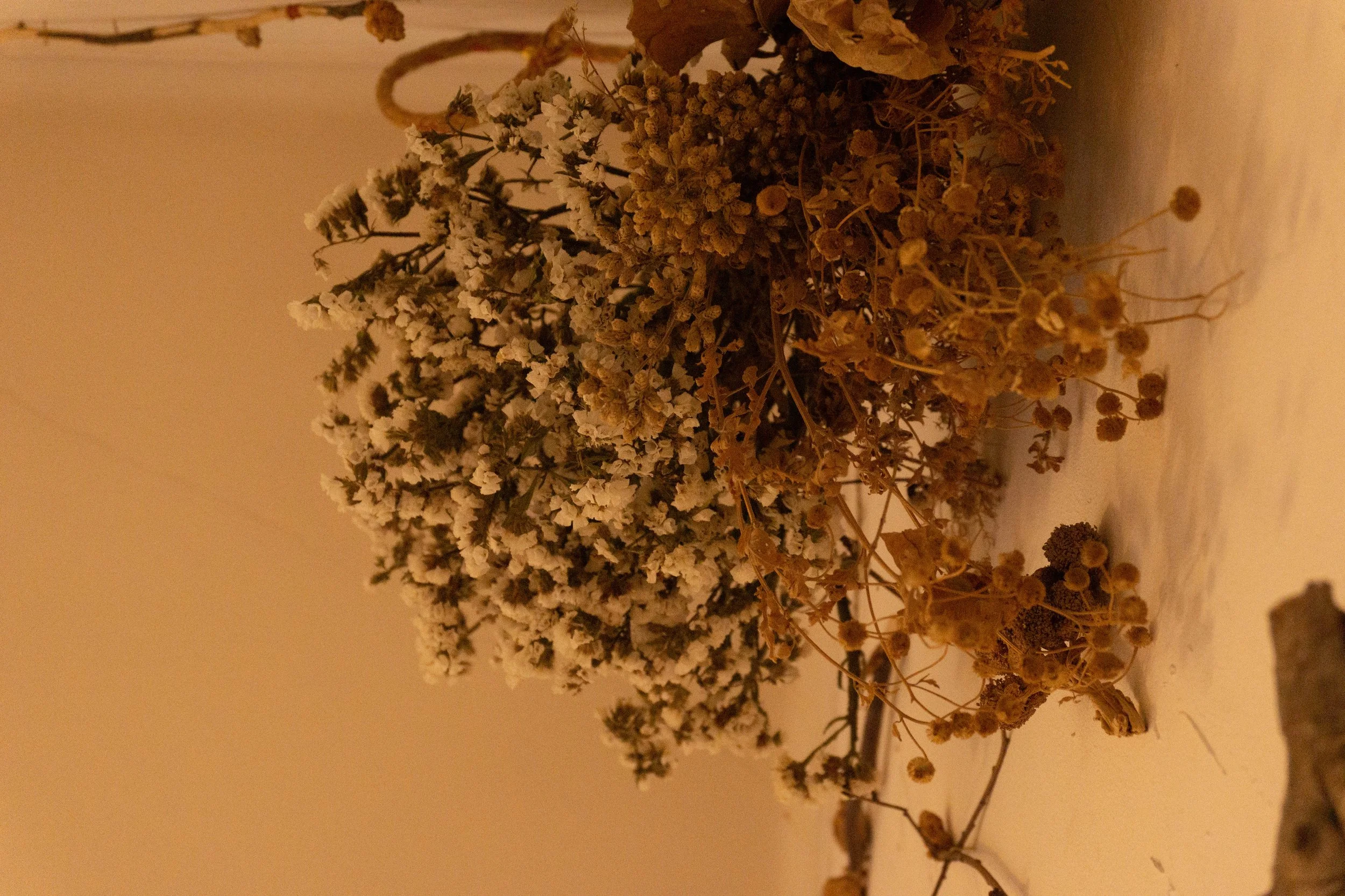 DSC04404.jpg