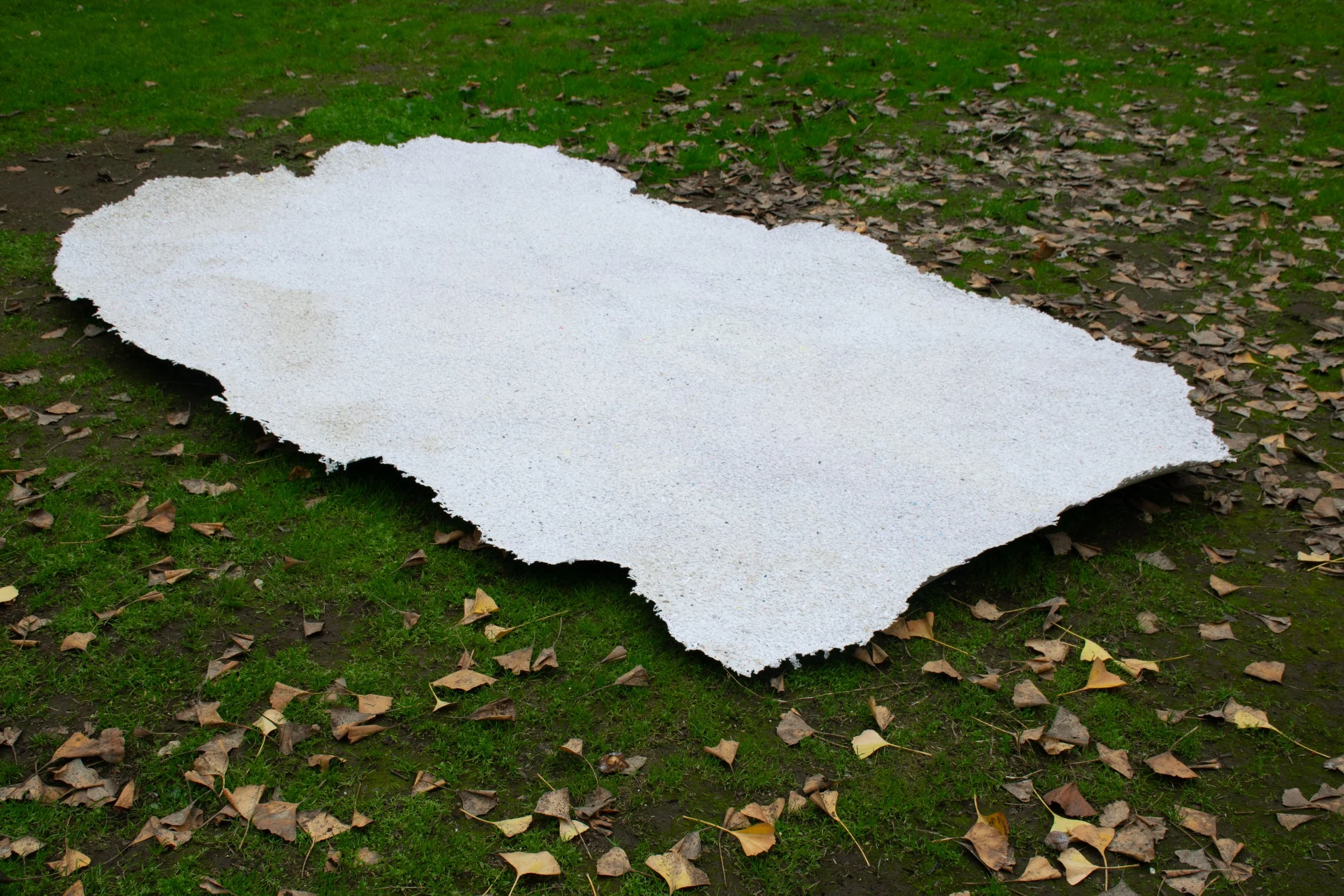 DSC_0448.jpg