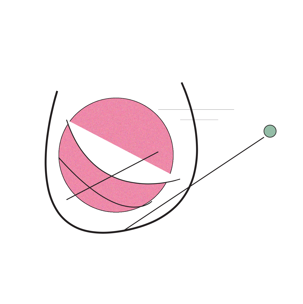 Screen Shot 2022-11-03 at 10.57.01 AM.png