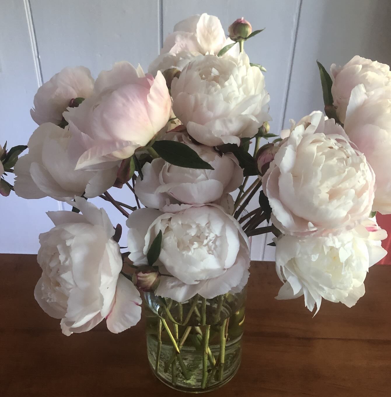 blush peonies in vase.jpg