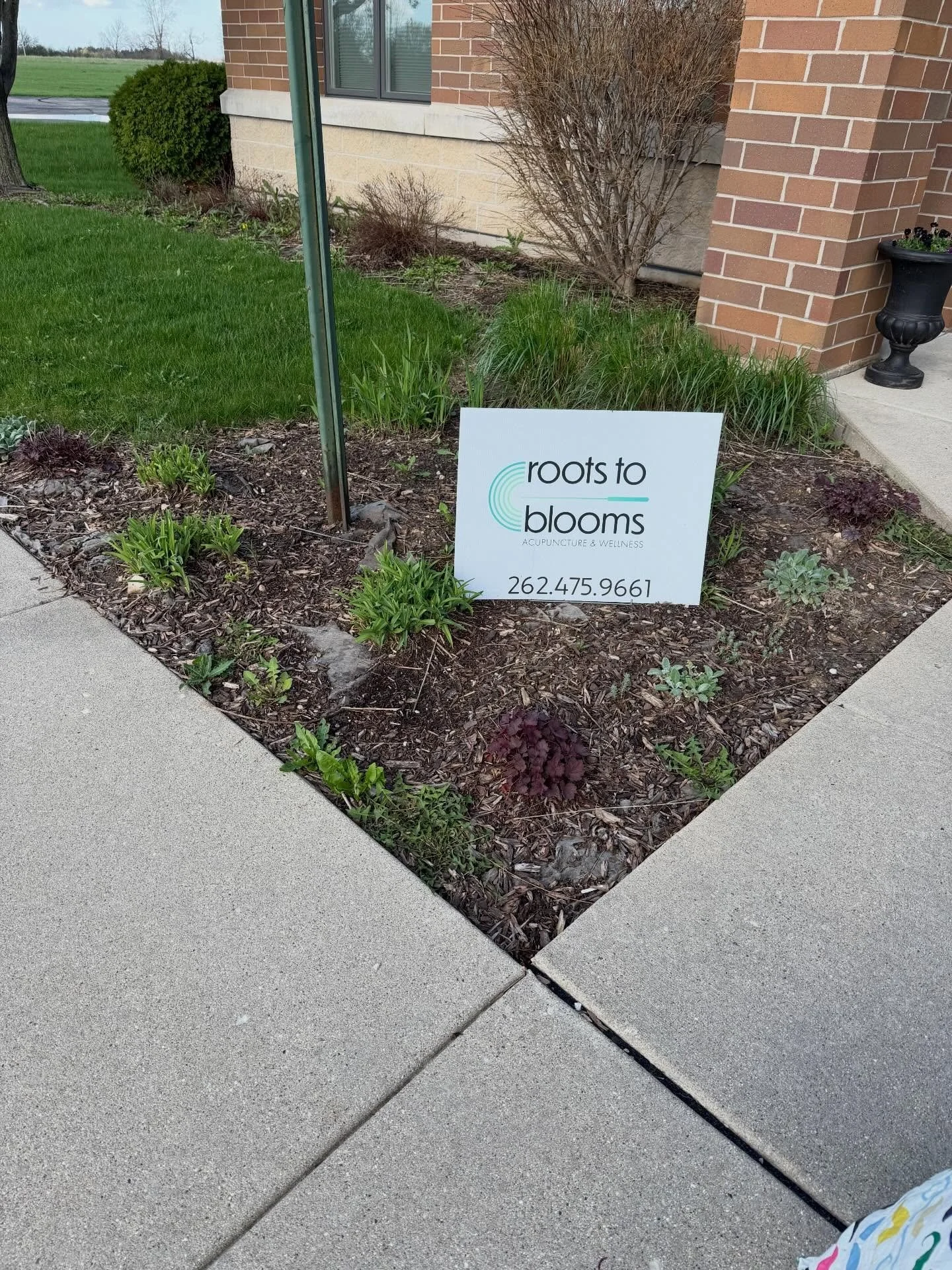 When the clinic landscaping is fugly and nobody shows up to Monday night meditation what's a gal to do? Redesign the garden as a form of meditation. It's not finished, but it's so much better than before. #acupuncturelakegeneva #movingmeditation #gar