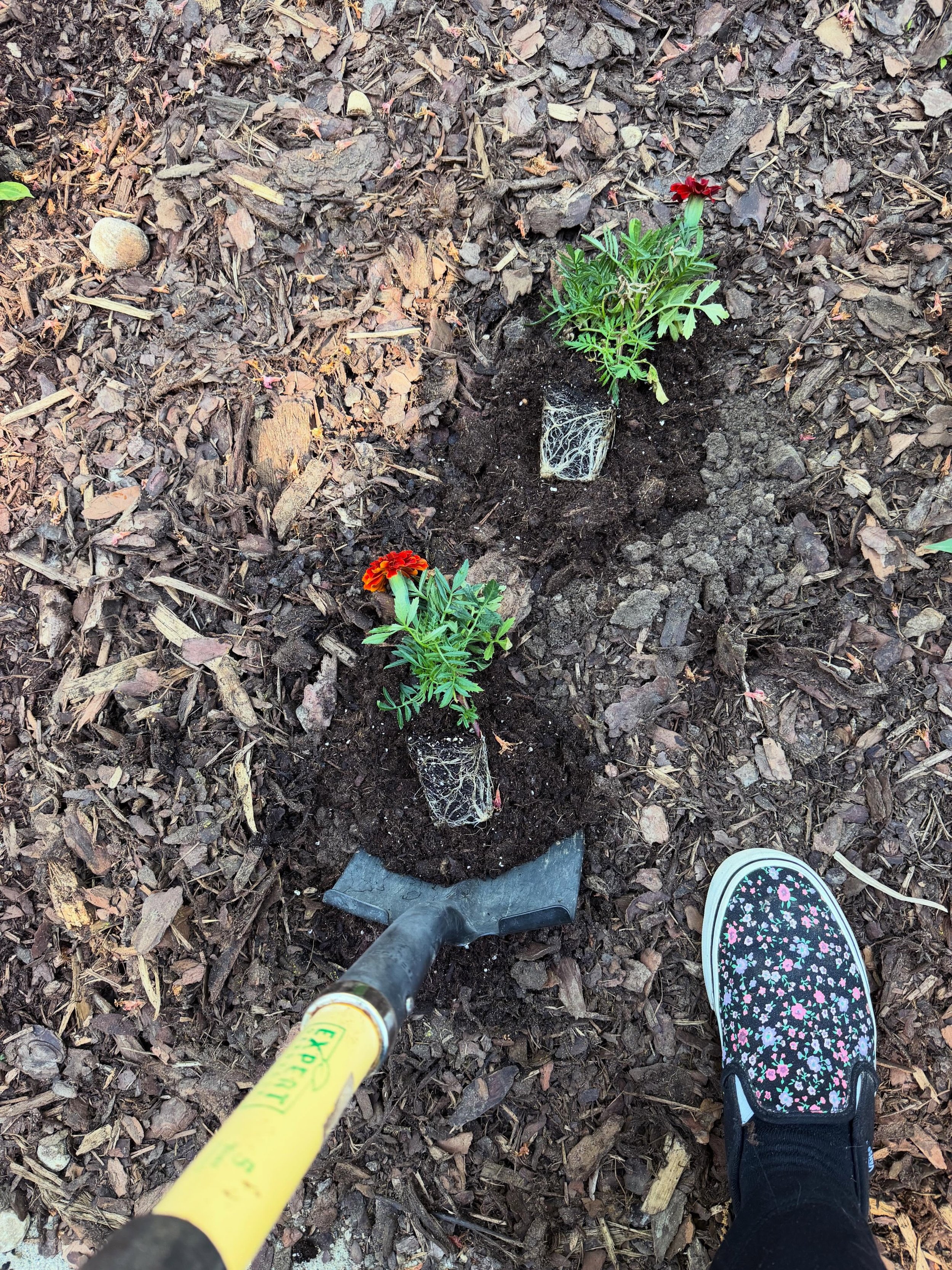 Digging in the garden this morning before I dig into people's health later in the clinic. 

This is my version of "go touch grass." Gardening keeps me grounded, centered, and helps me process emotions.

Acupuncture also helps the nervous sy