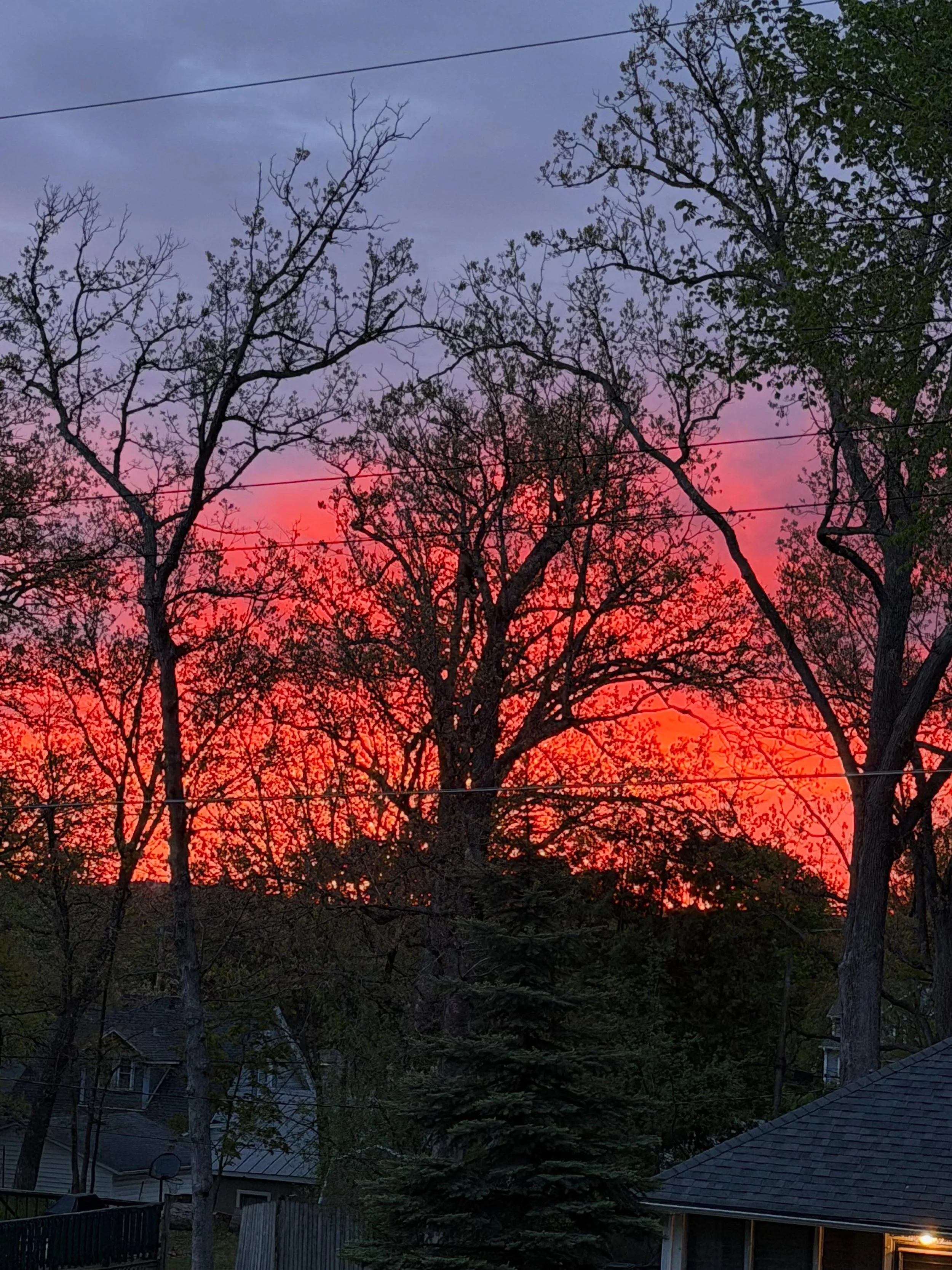In Traditional East Asian medicine summer is the season of joy.

My summer started with me rediscovering joy. I was fried from commuting, parenting, things that were happening in my yard and my home, and having no days off. I began to grasp for every