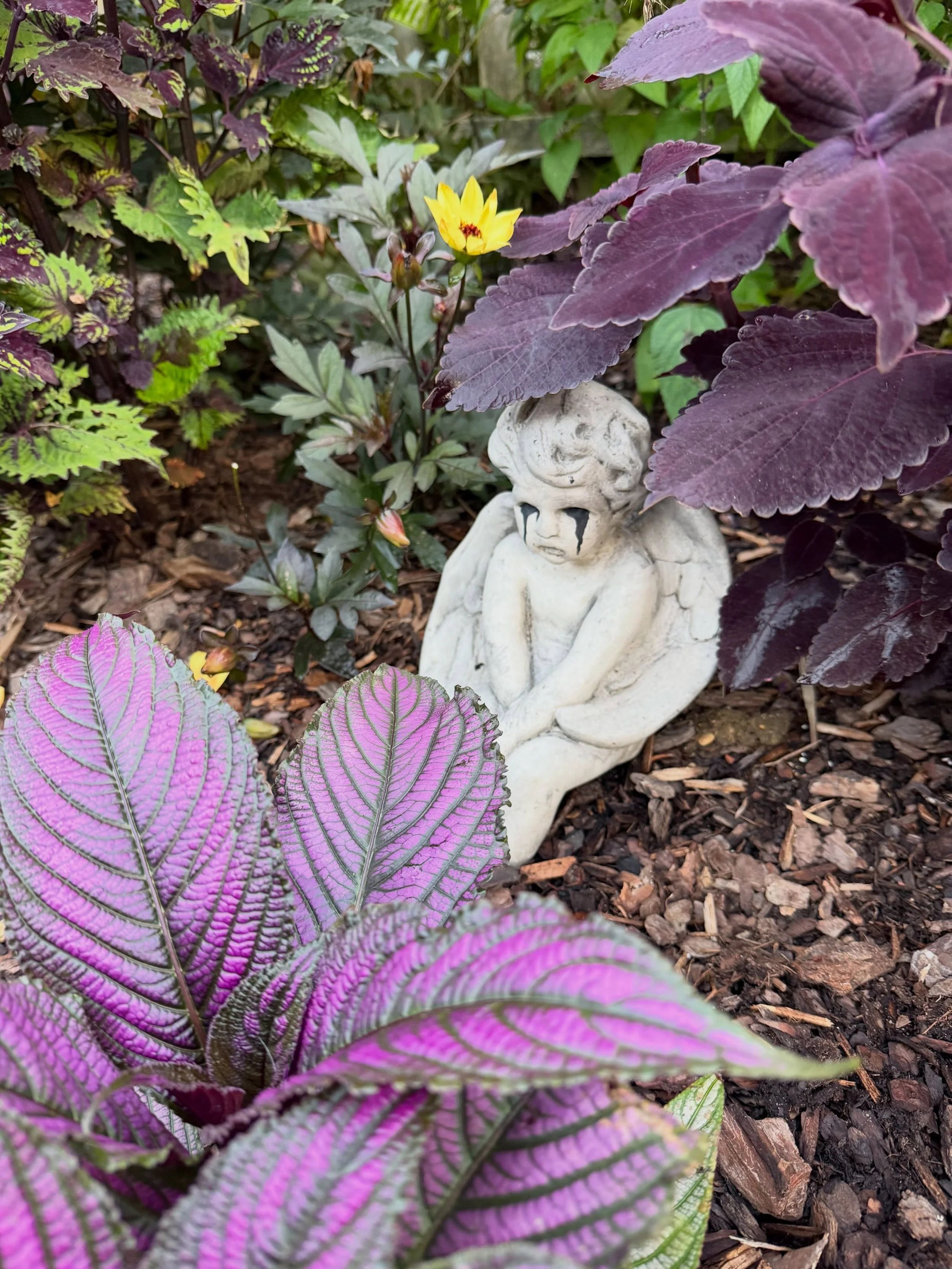 How do I unwind at the end of the day? When I'm done at the clinic and arrive home, the first thing I do is what Mr. Rogers taught me: I change out of my work clothes. 
Depending on the time I arrive home, I'll have dinner, walk through my flower gar