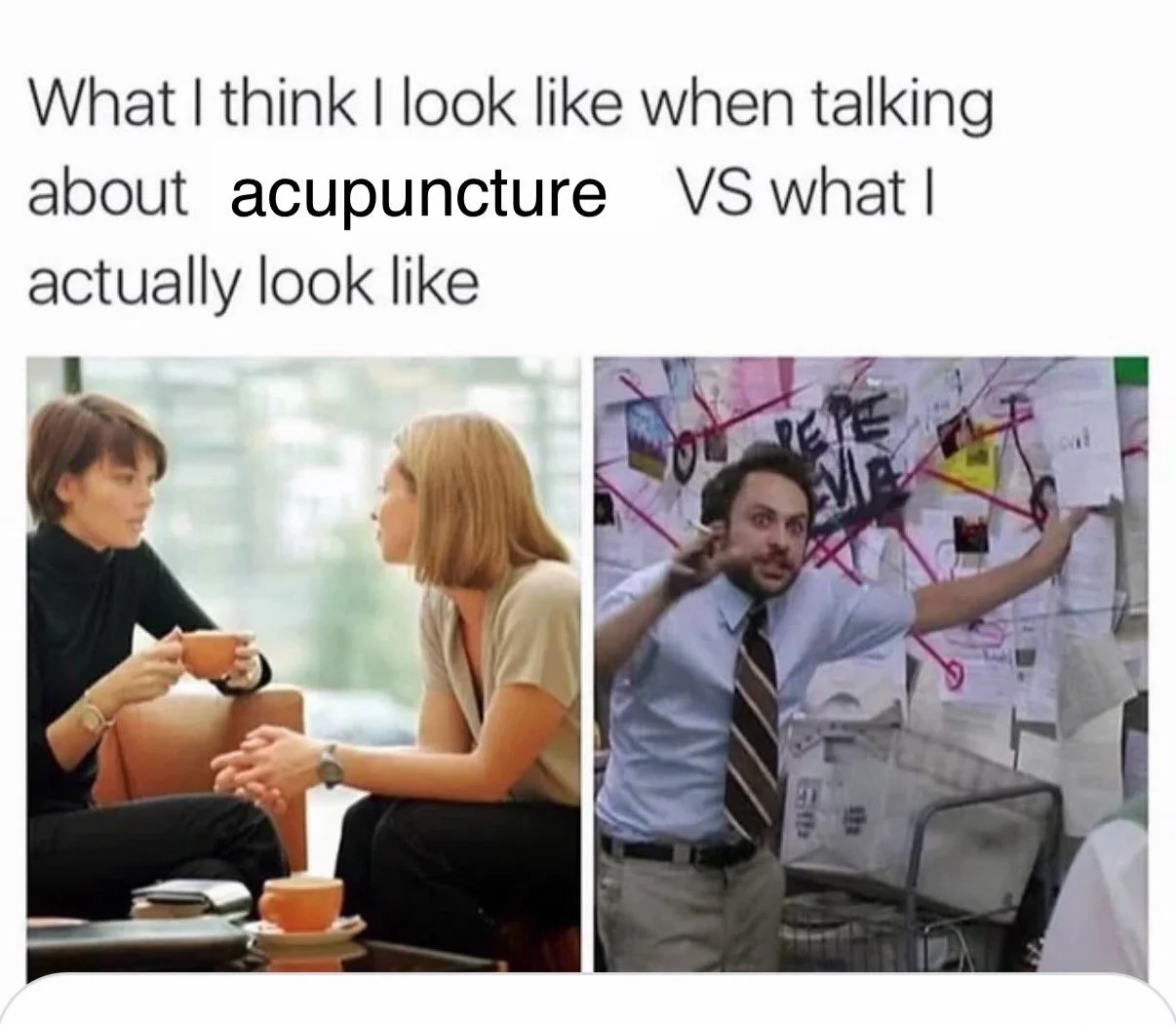 It's the final day of #augustmeettheacupuncturist2026. Please enjoy my favorite acupuncture meme. This is totally me explaining how the nervous system drives all bodily functions and how your morning habits are driving your cortisol levels and your c
