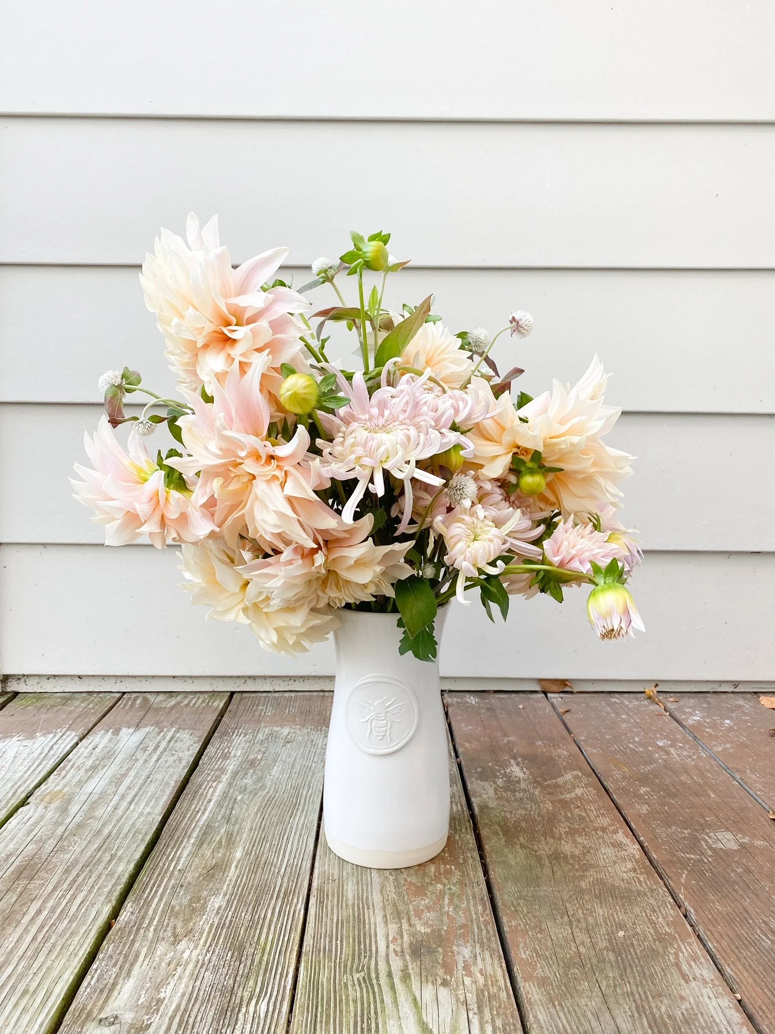 Cafe Au Lait Dahlias and Chrysanthemums