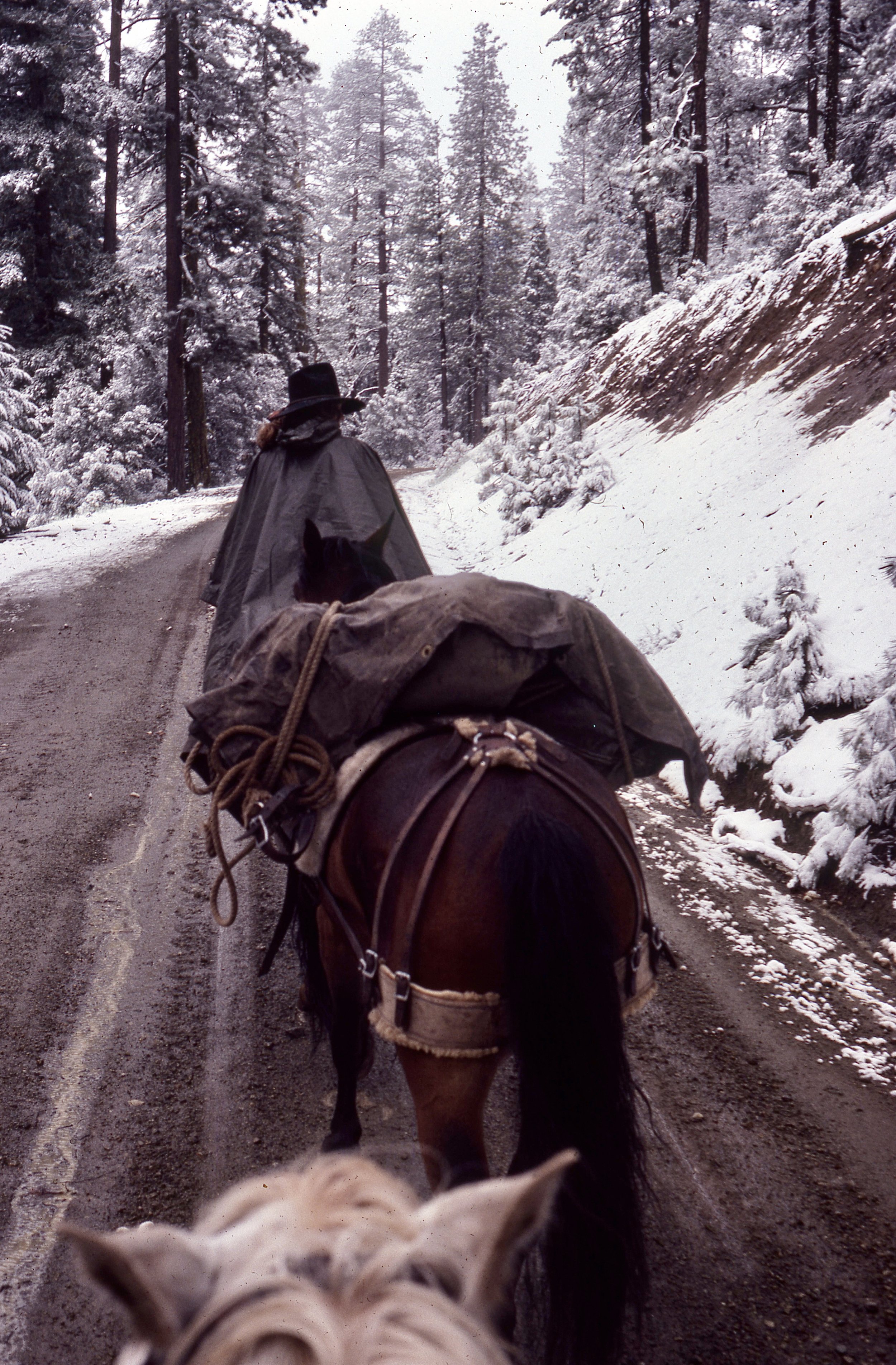 Snowed down from Mt. Lassen.jpg