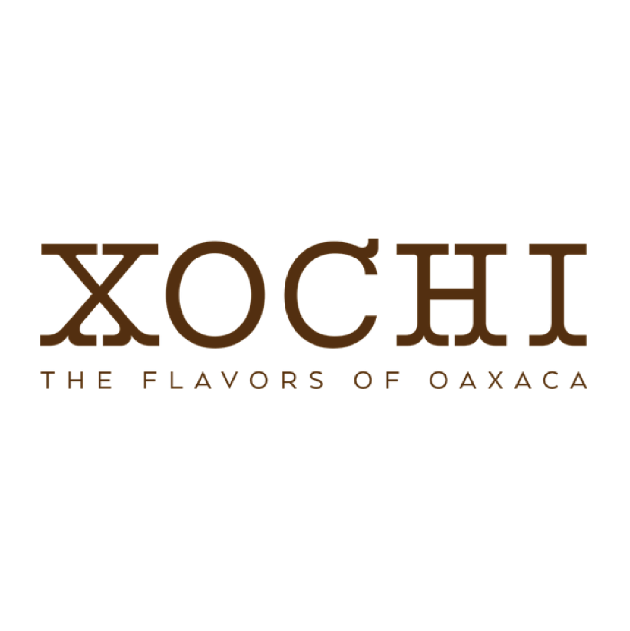 Xochi-Logo.png