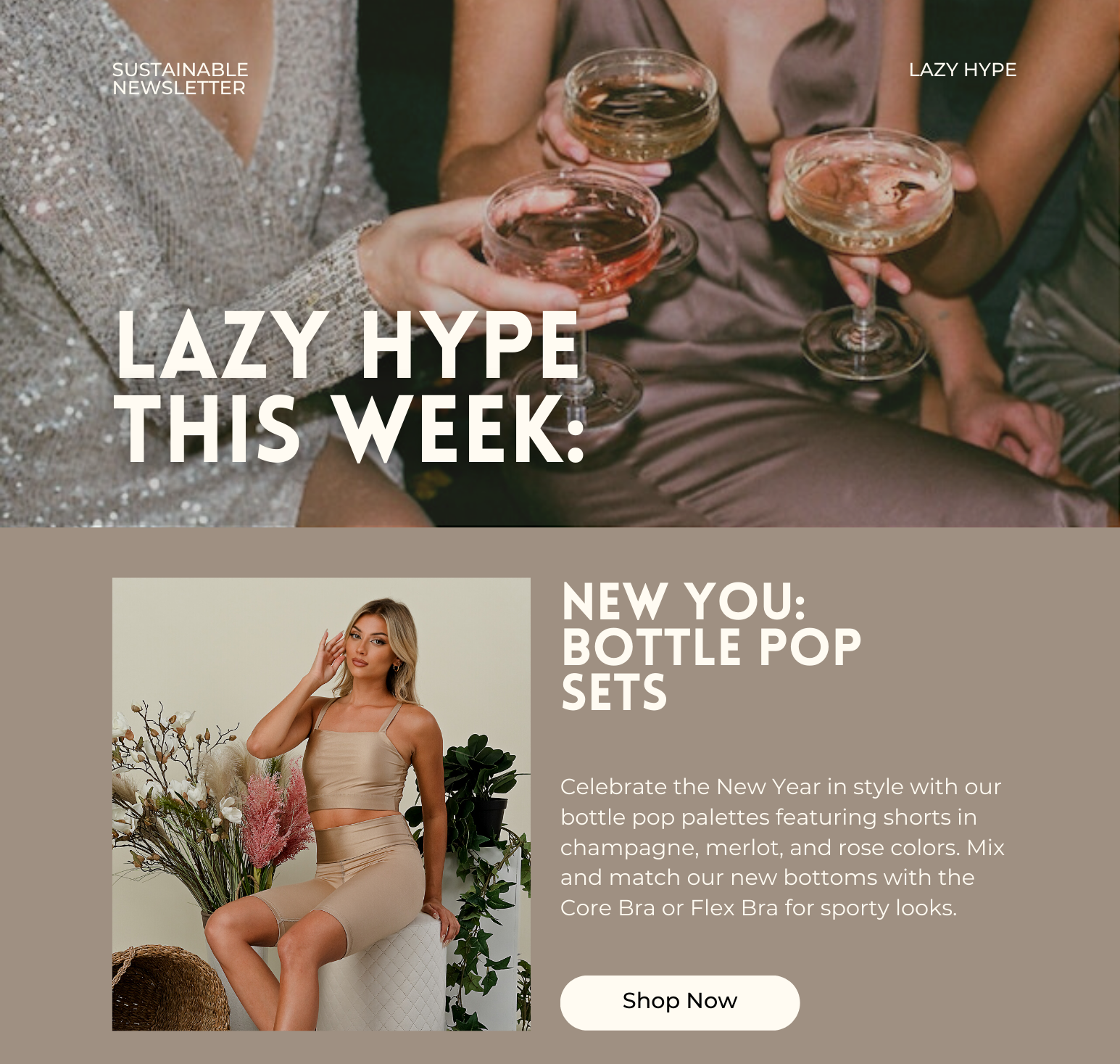 Newsletters