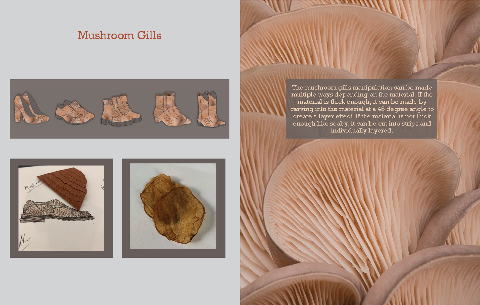 DS2 Product Process Work_Page_24.png