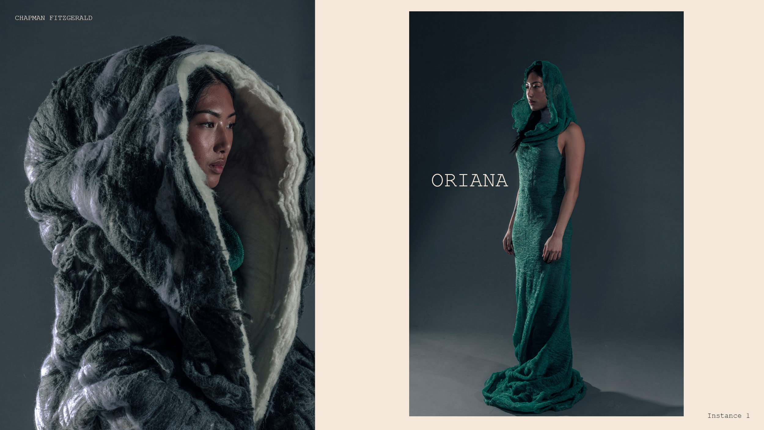 CHAPMAN_FITZGERALD_LOOKBOOK4.png