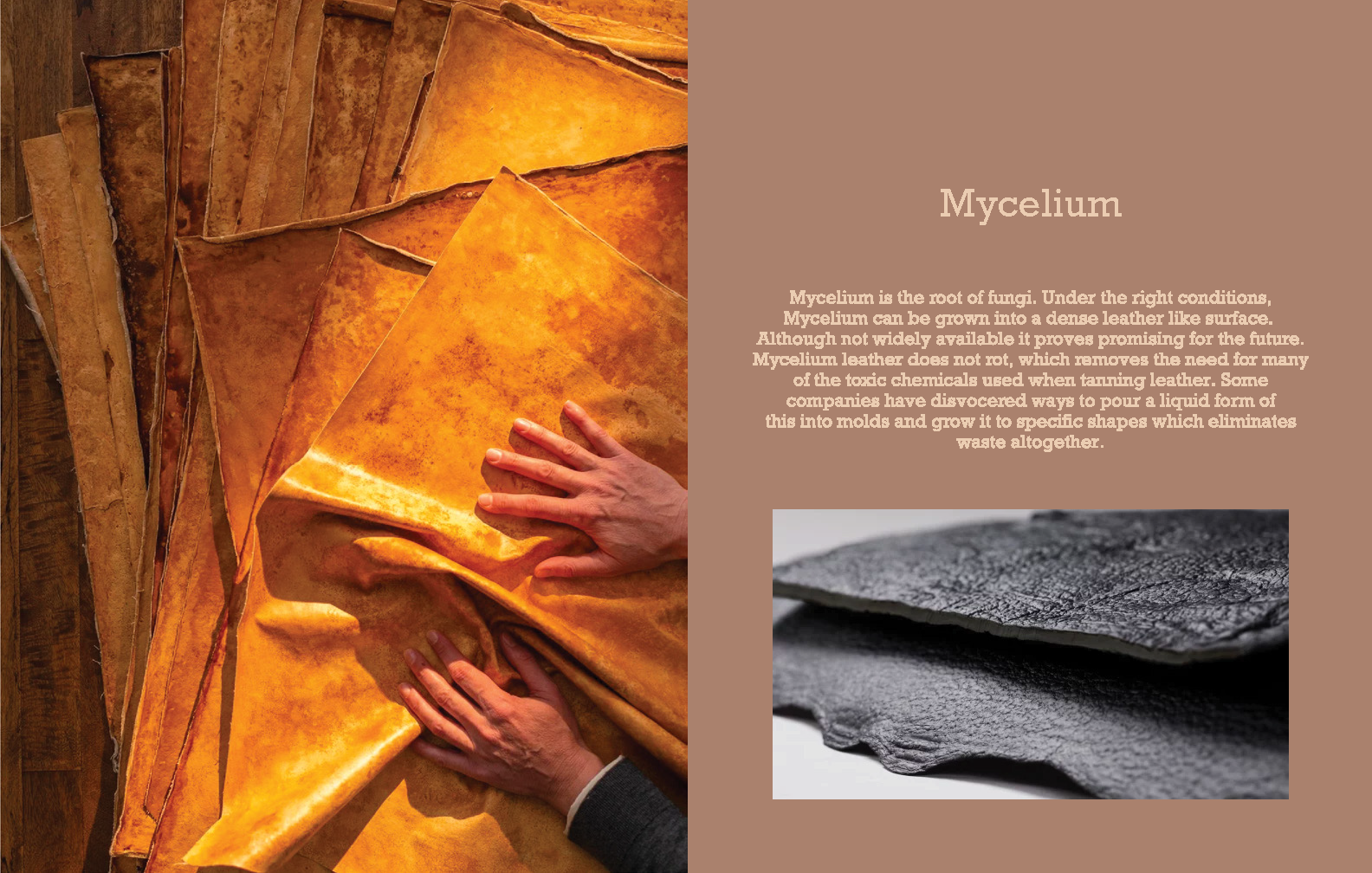 DS2 Product Process Work_Page_11.png