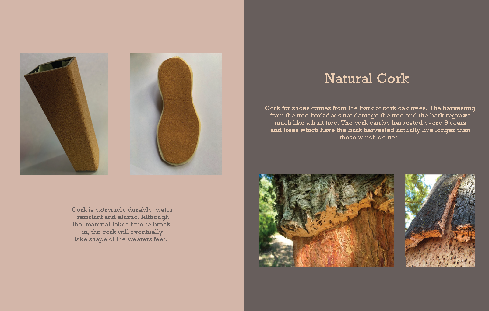 DS2 Product Process Work_Page_09.png