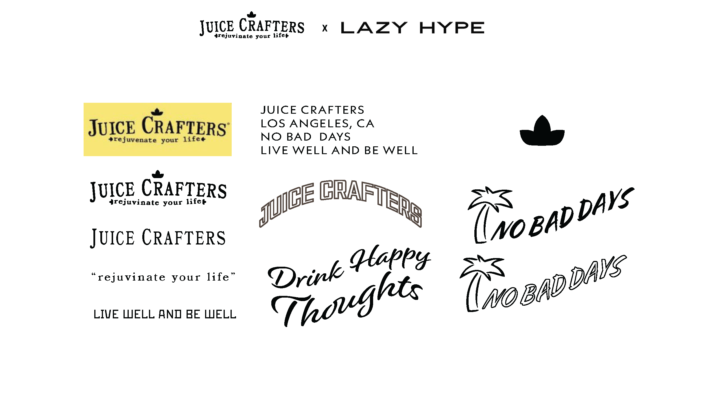 Lazy Hype Private Label Juice Crafters Mock-ups_Page_2.png