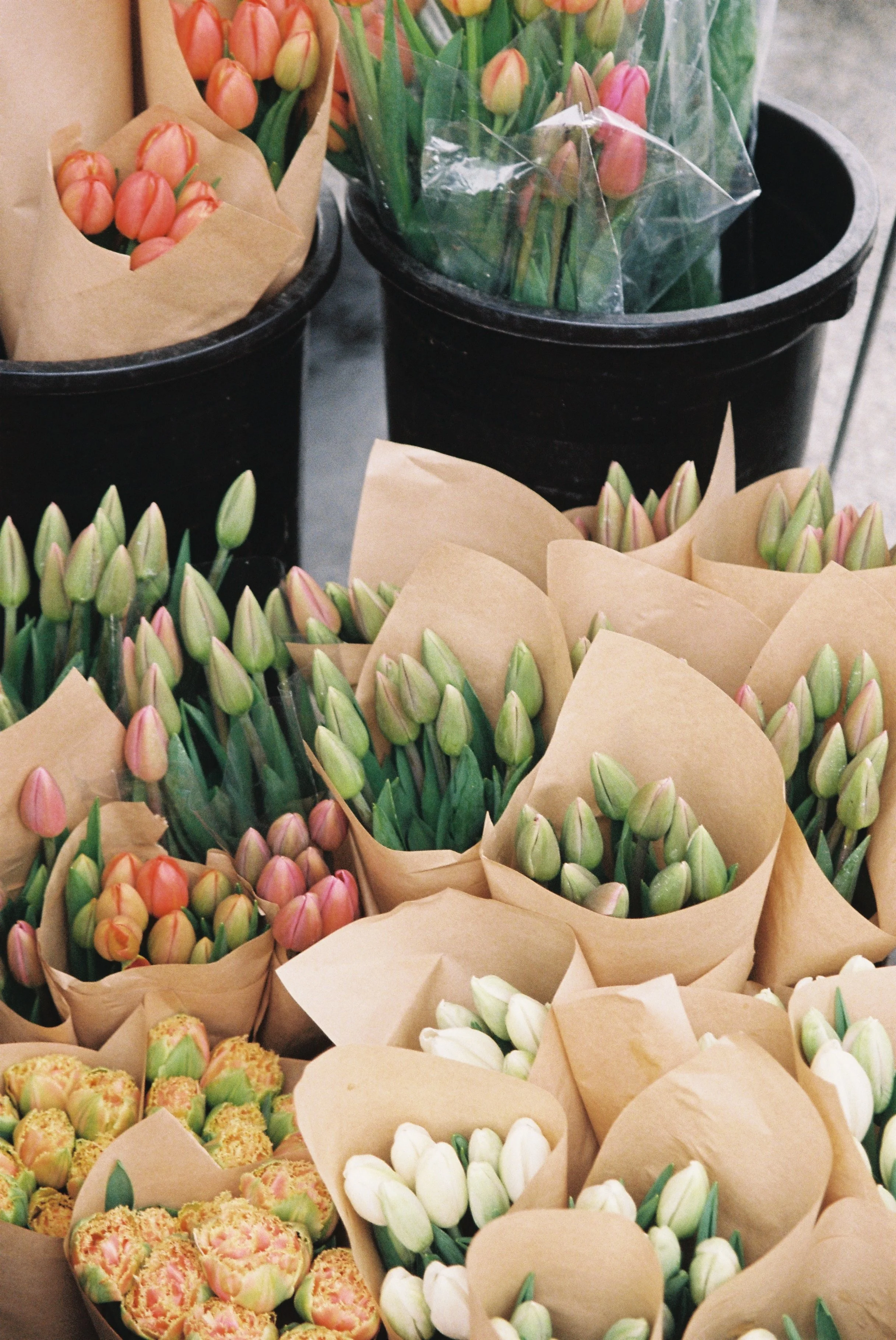 Assorted flower bouquets with pink and white tulips wrapped in paper and placed in black buckets.