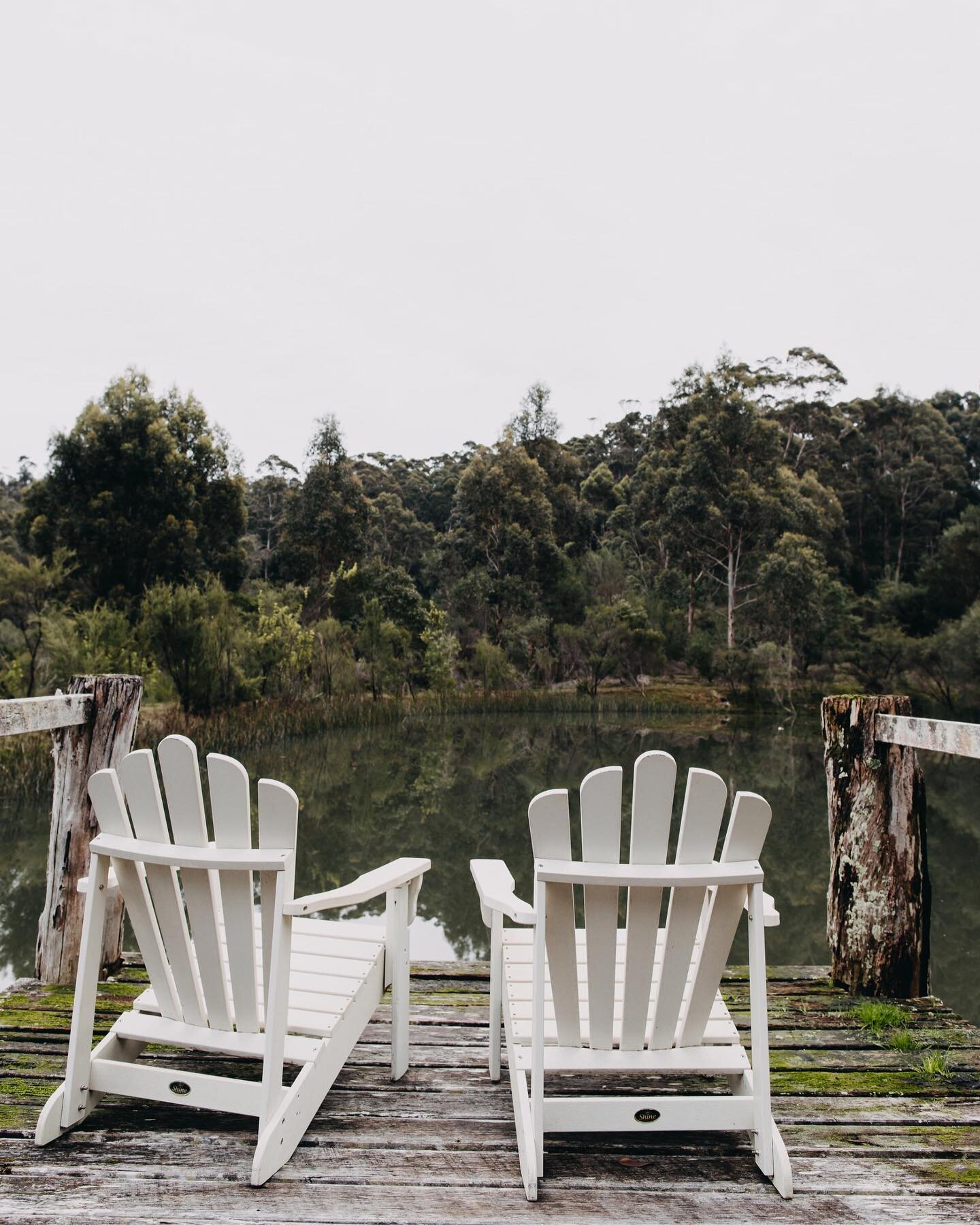 Take a seat 〰️ watch the world go by

With the majestic forest as your backdrop and birdsong in the air it&rsquo;s truly a grounding and wondrous place to be 🤍

Slow down, unwind and reconnect here at Stillwood

#stayatstillwood #stillwoodretreatden