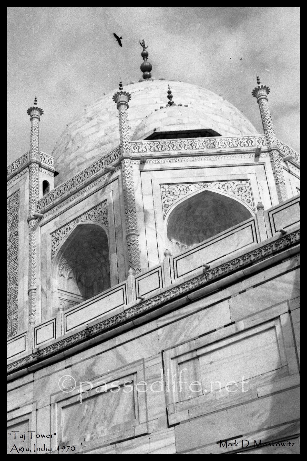 Taj Tower Titled-01 (1).jpeg