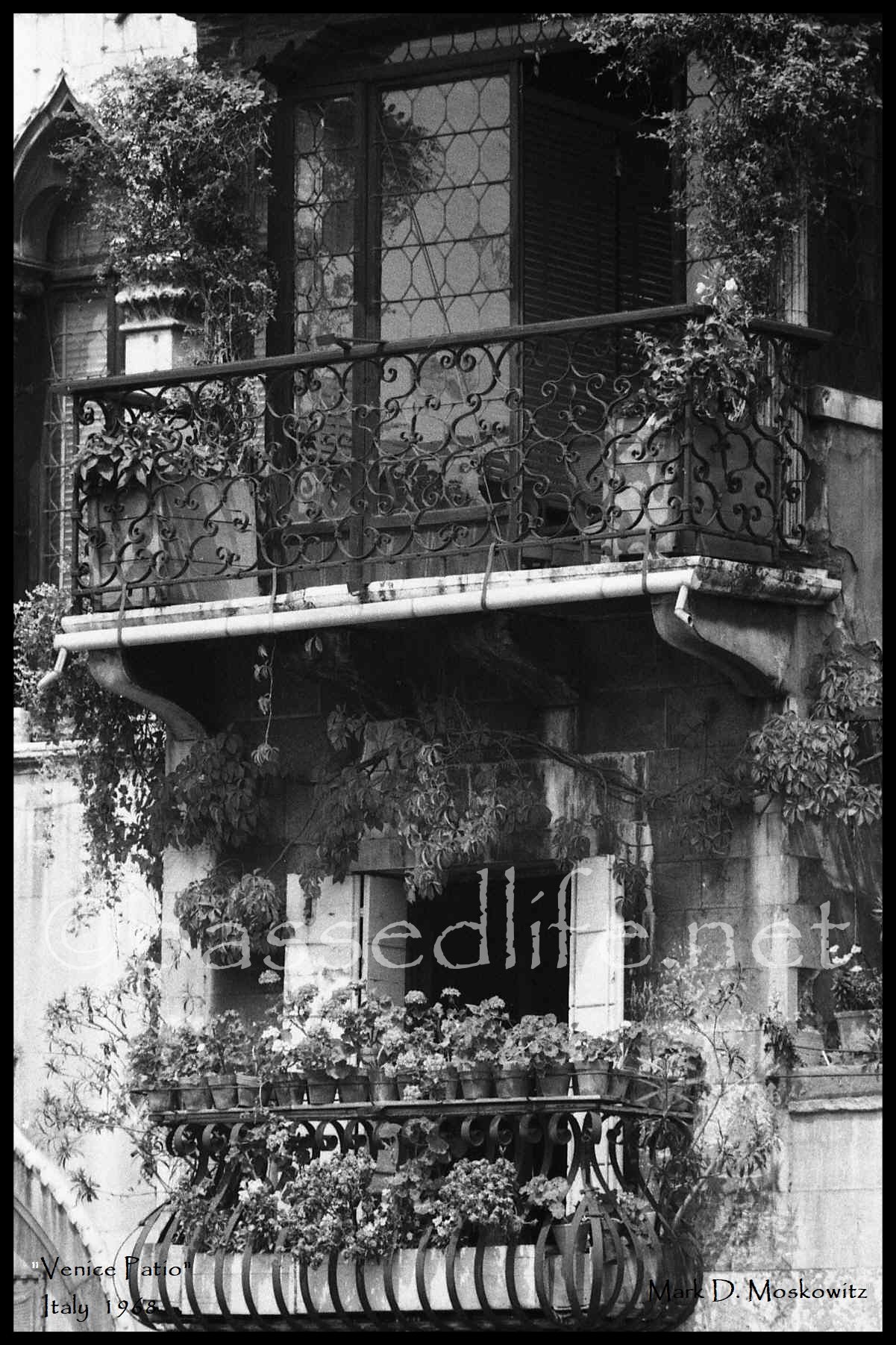 Venice Patio.jpg