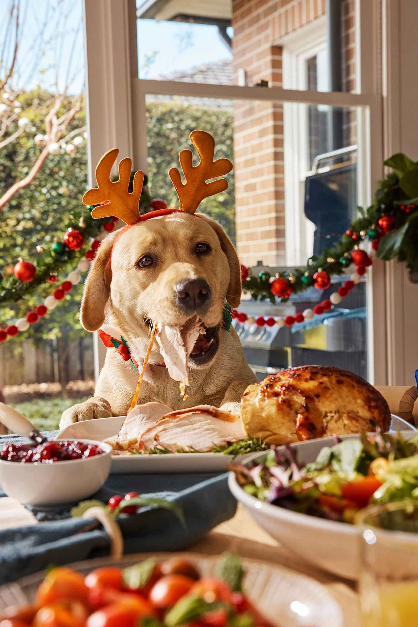 251008-Stockland-Mint-Turkey-242 copy.jpg