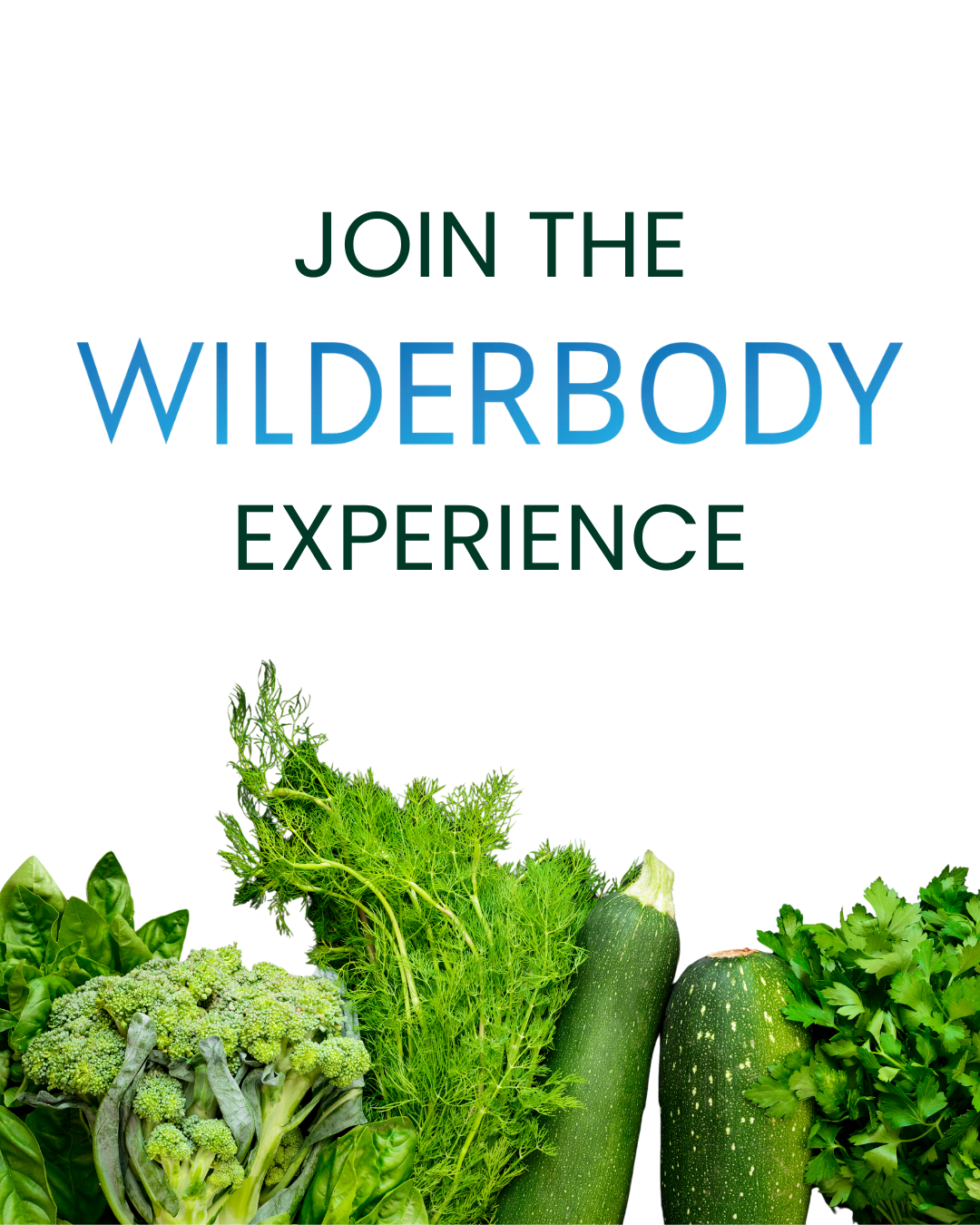 WILDERBODY-challenge-marianne-lewis.png