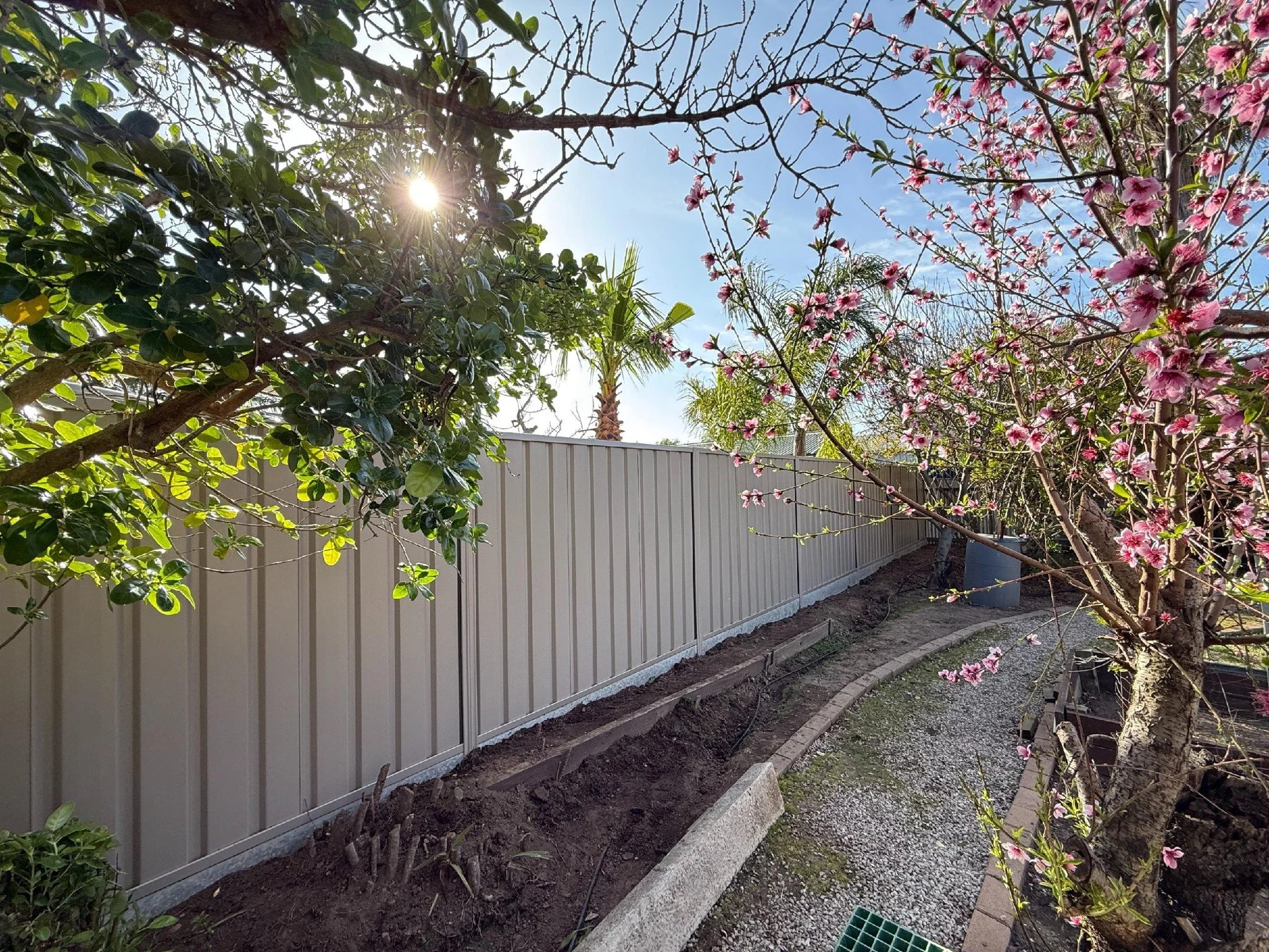 550221382_724520920616456_815579995239461107_n (1).jpg