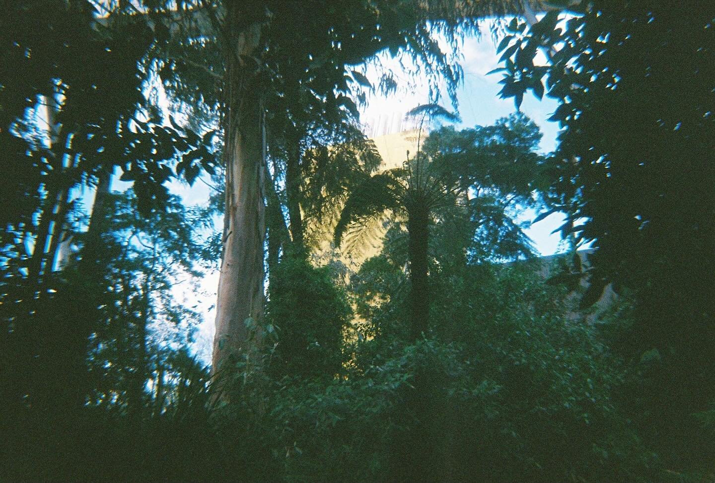 @melbournemuseum on #35mmfilm