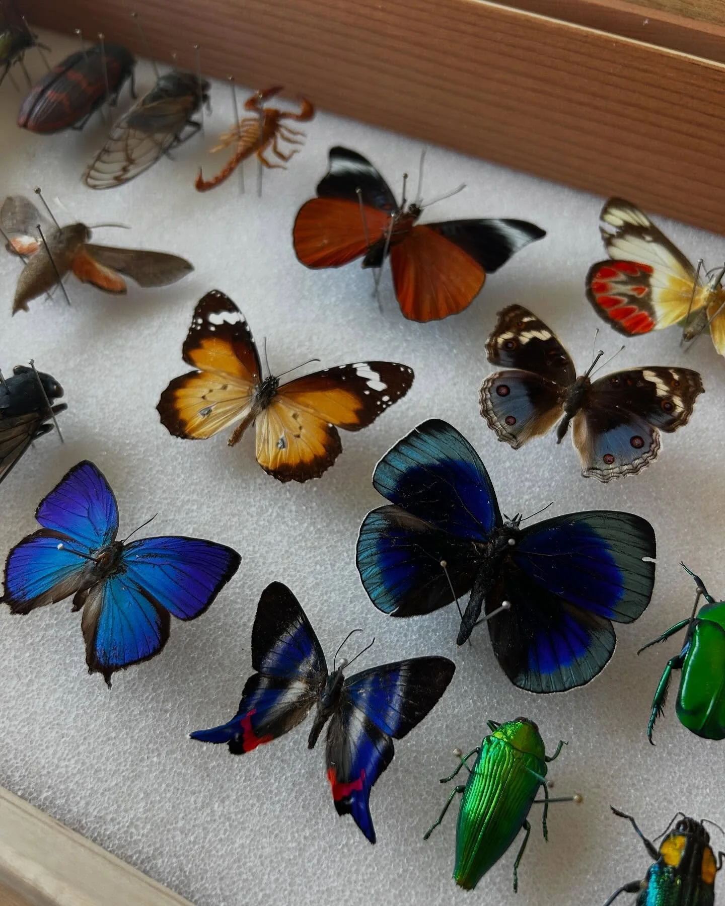 @tessanino &mdash; sometimes we get to look at very pretty things while we work!