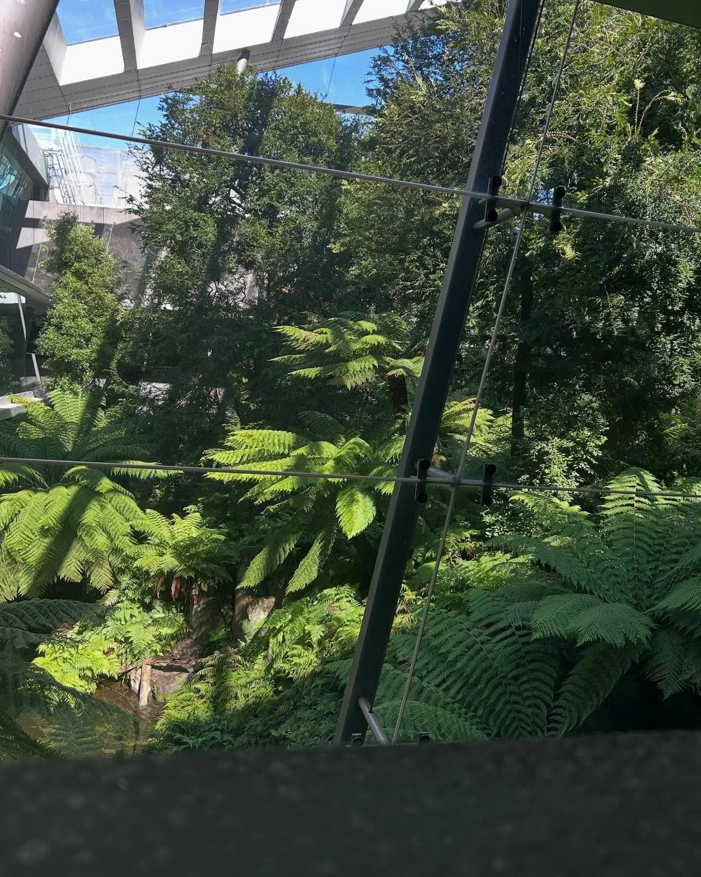 Forest Gallery ☀️