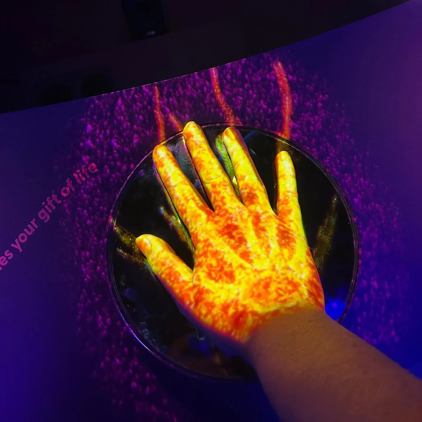 Hanging out in #ourwonderousplanet at @melbournemuseum