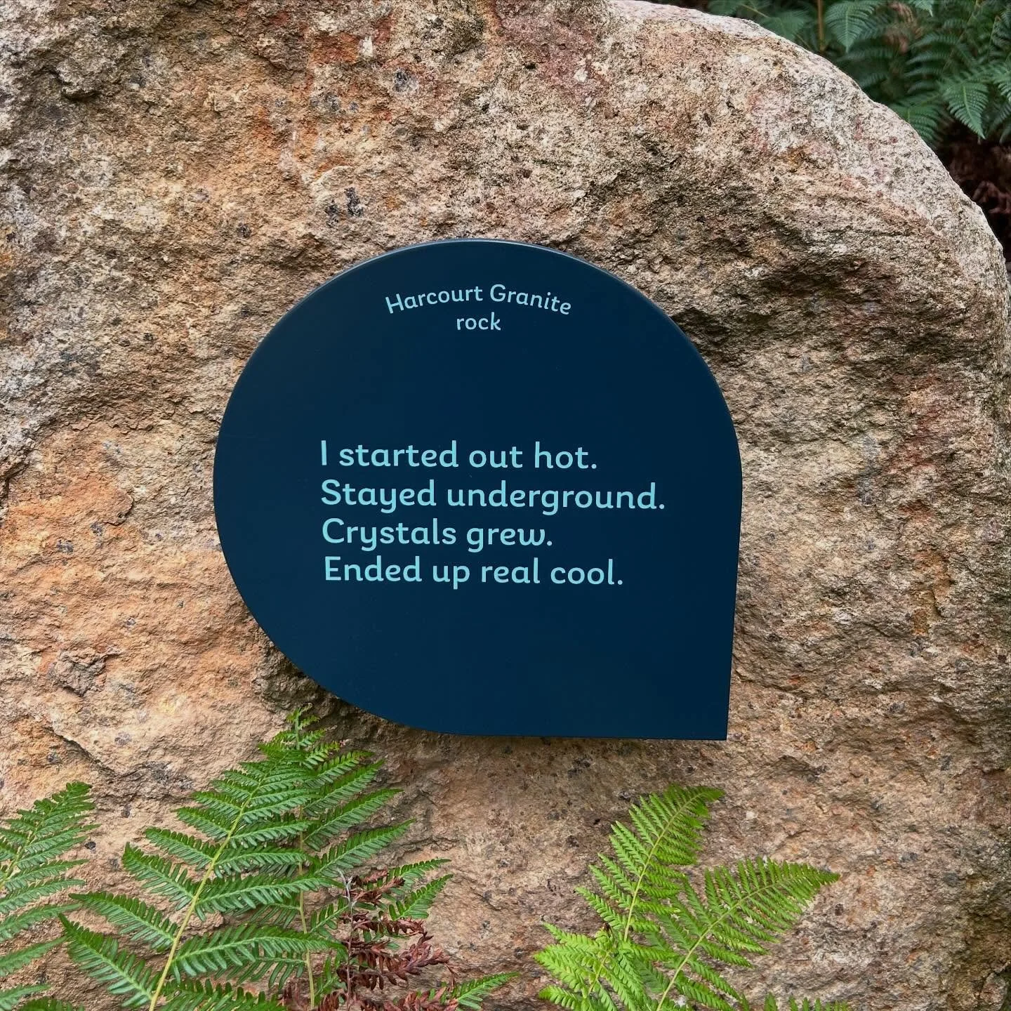 Today&rsquo;s life motto courtesy of #GandelGondwanaGarden @melbournemuseum