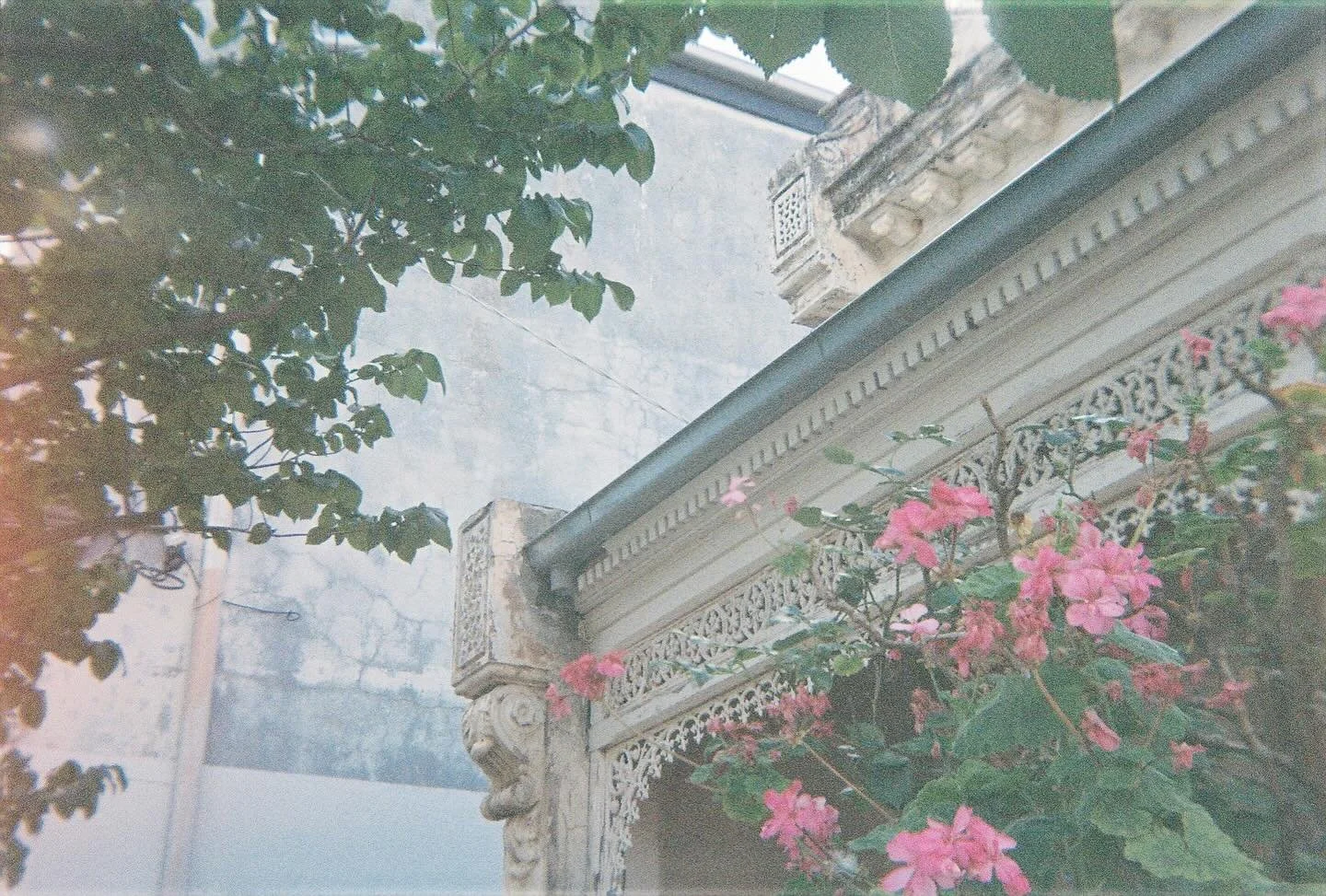 #melbournephotographer