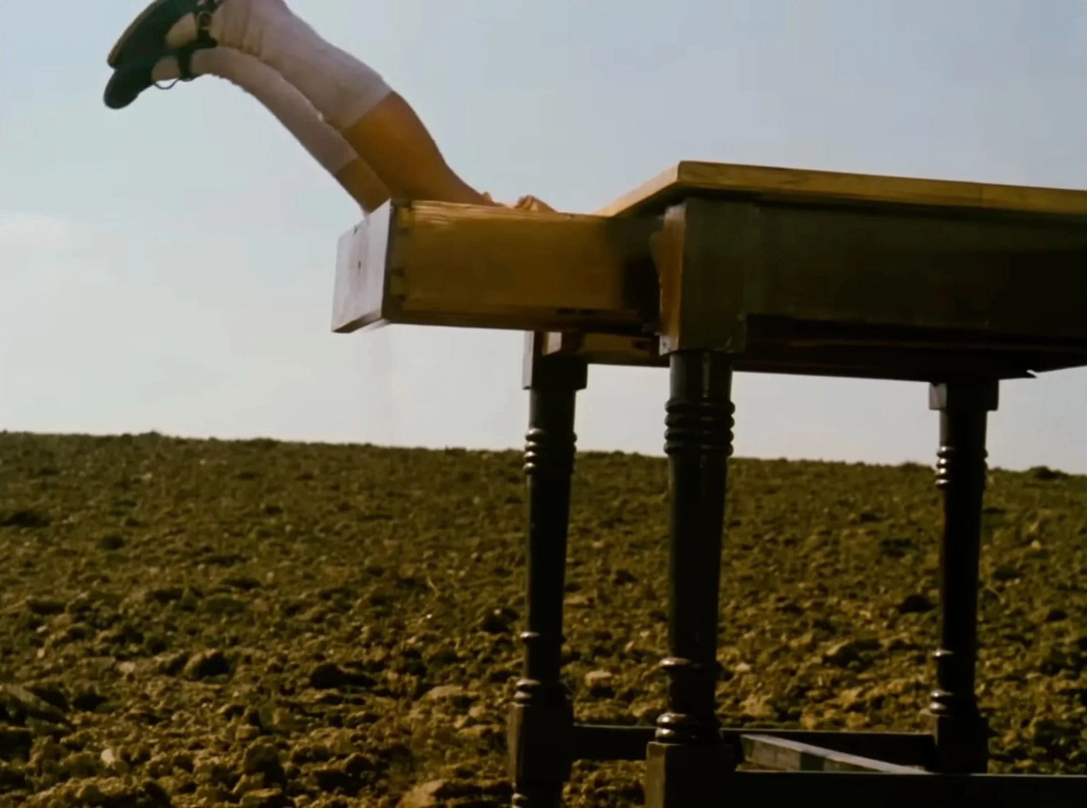 the fig tree is my soul