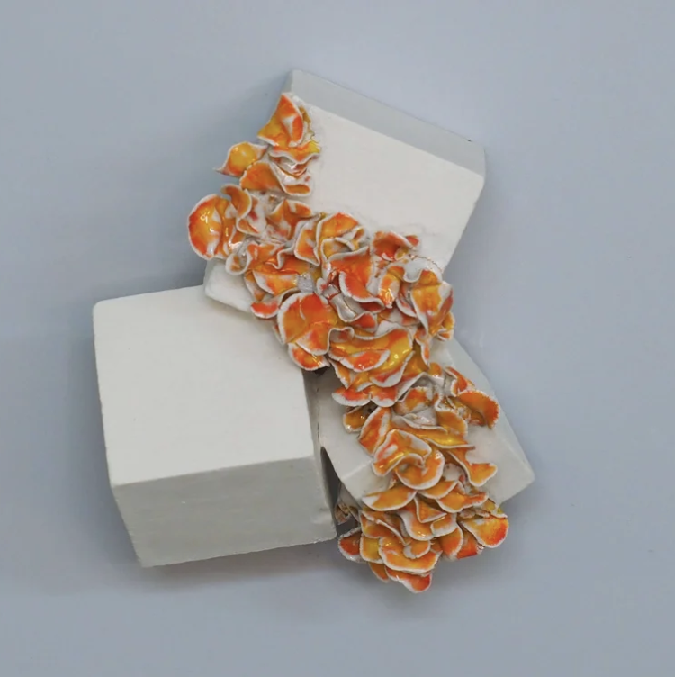 Screenshot 2026-03-20 at 11.15.33.png