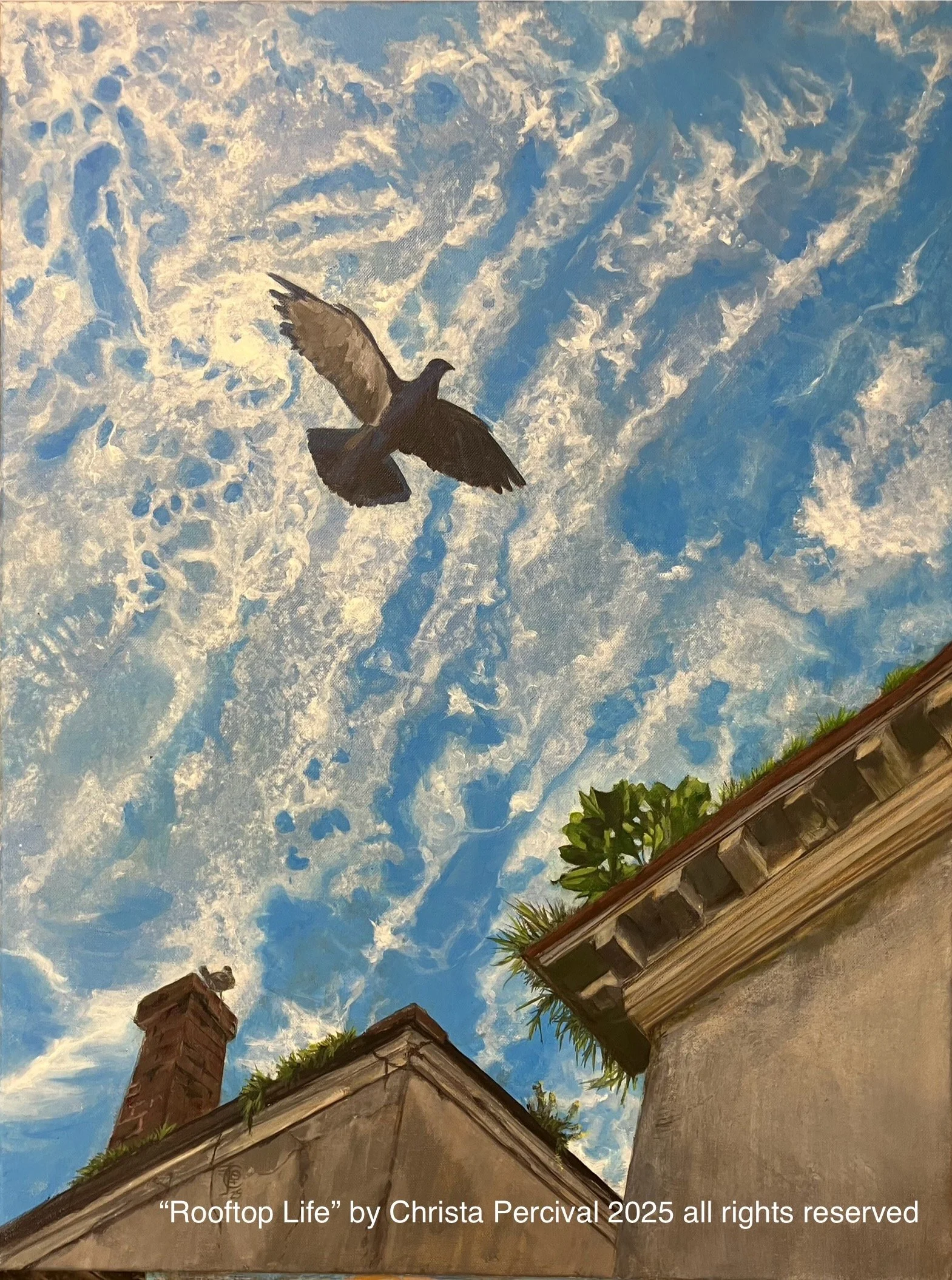 _Rooftop-Life__Christa Percival - Christa Percival.jpeg