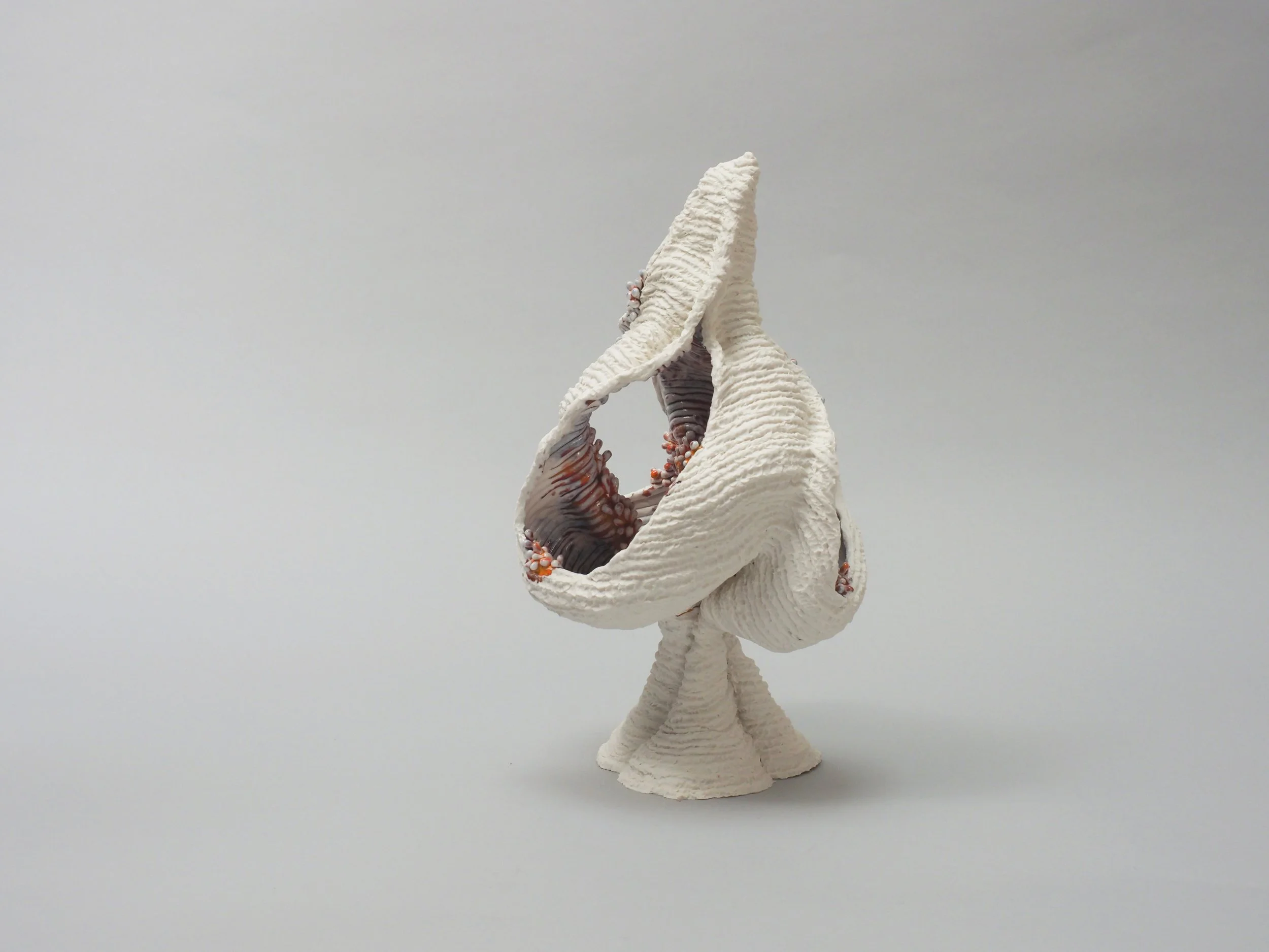 Duology - Zoe Clare.jpg