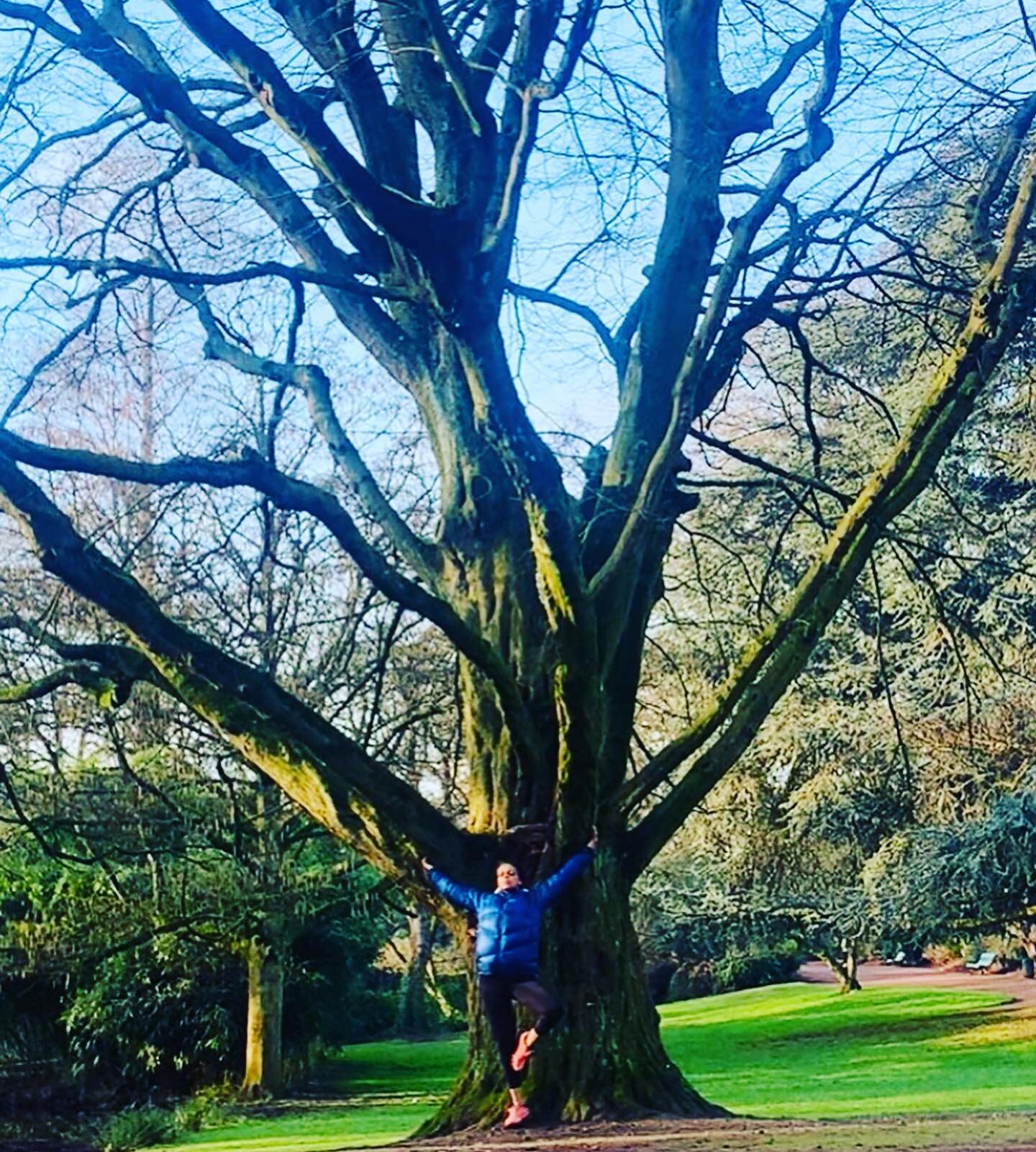 Appel de l arbre (suite) Ma nouvelle vision de cet arbre  aura une port&eacute;e sur mon quotidien. Depuis lundi quelquechose a chang&eacute;. Cet arbre je passe souvent devant , sans forcement y faire plus attention que les autres arbres. Mais  l&ag