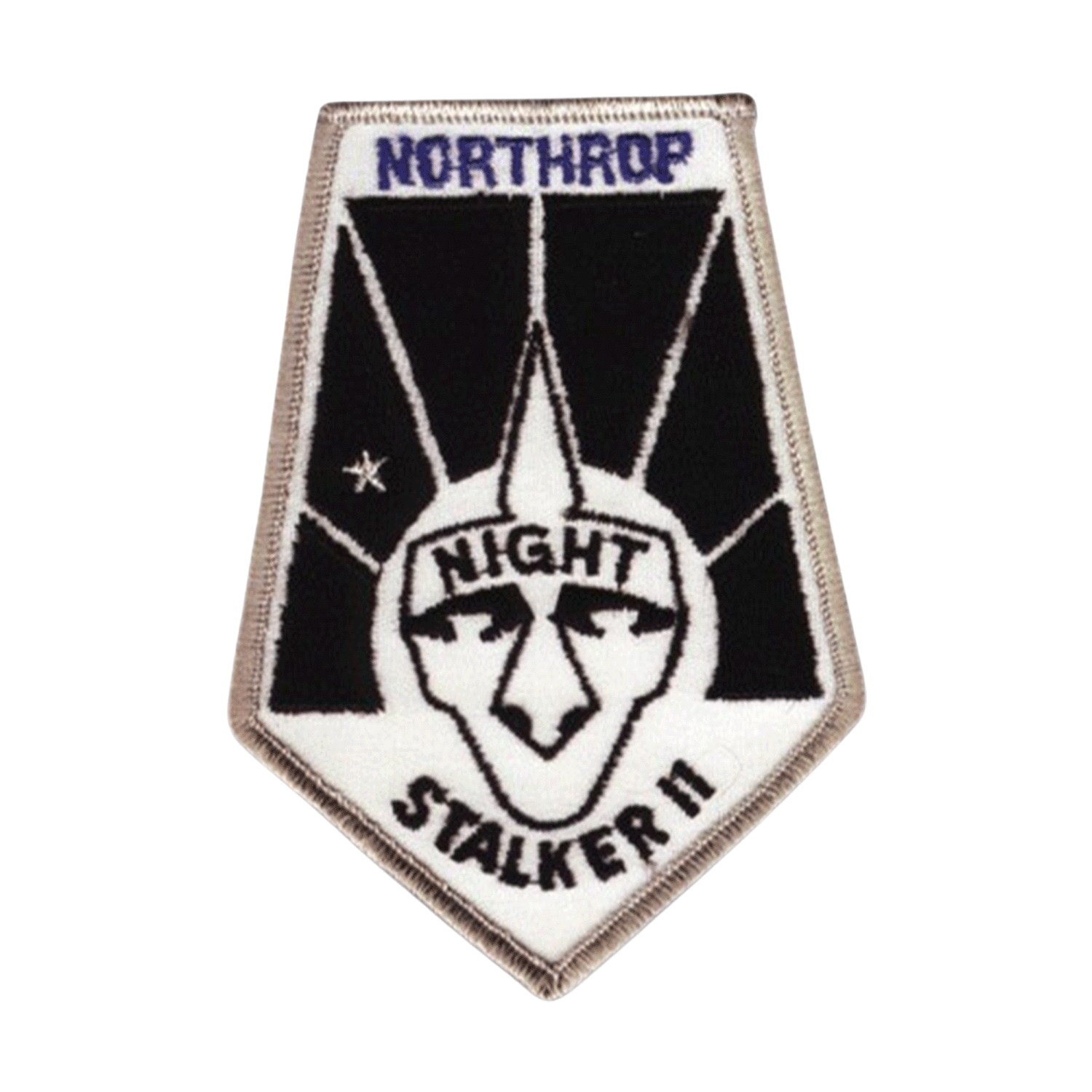NORTHROP NIGHT STALKER II.png