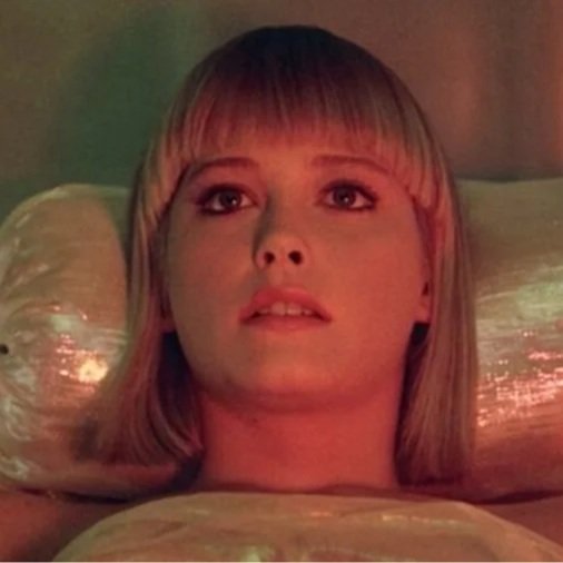 Cherry 2000 vs. Terminator