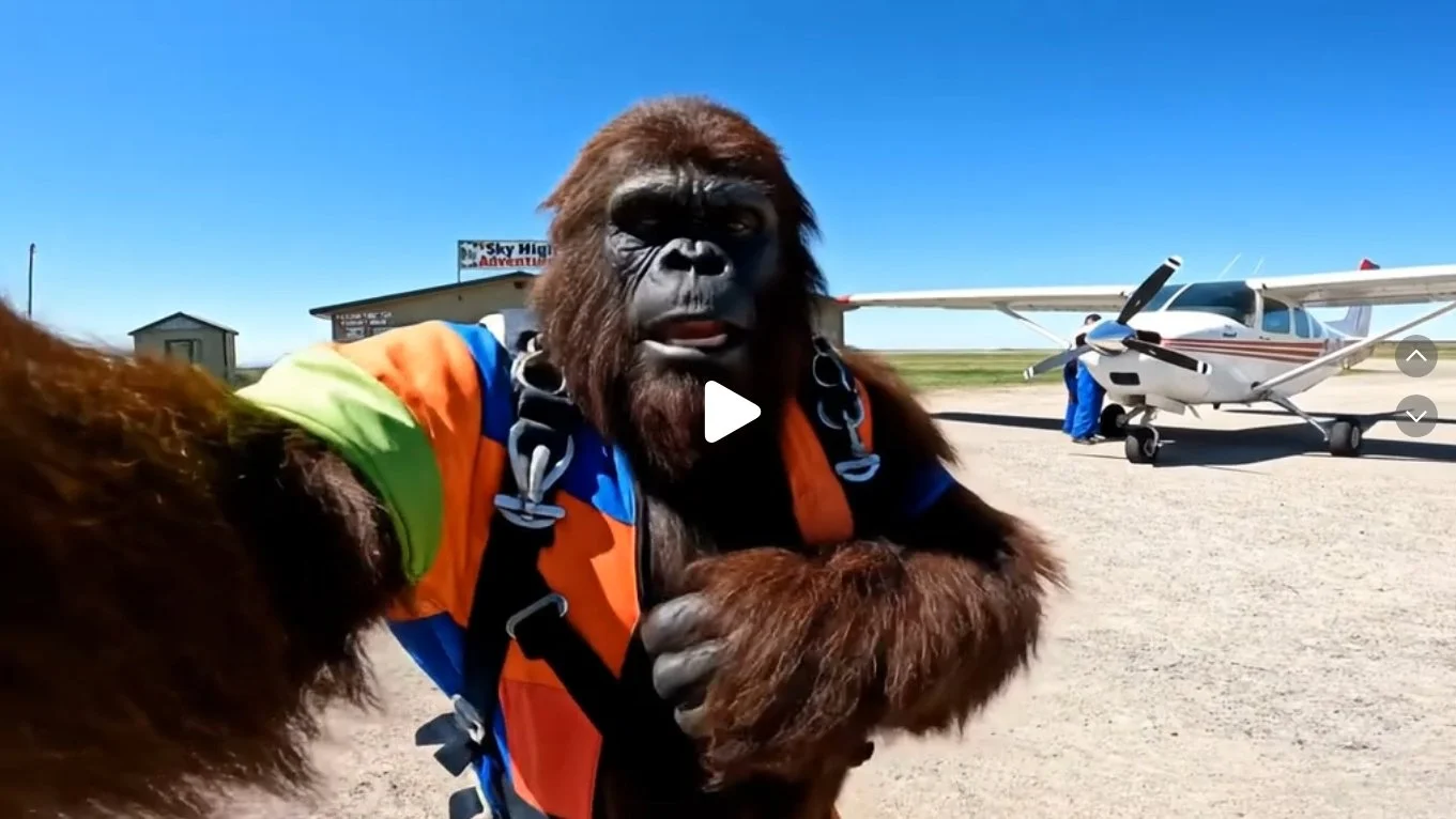  Bigfoot Goes Skydiving - PaulAlienVlogs - TikTok 